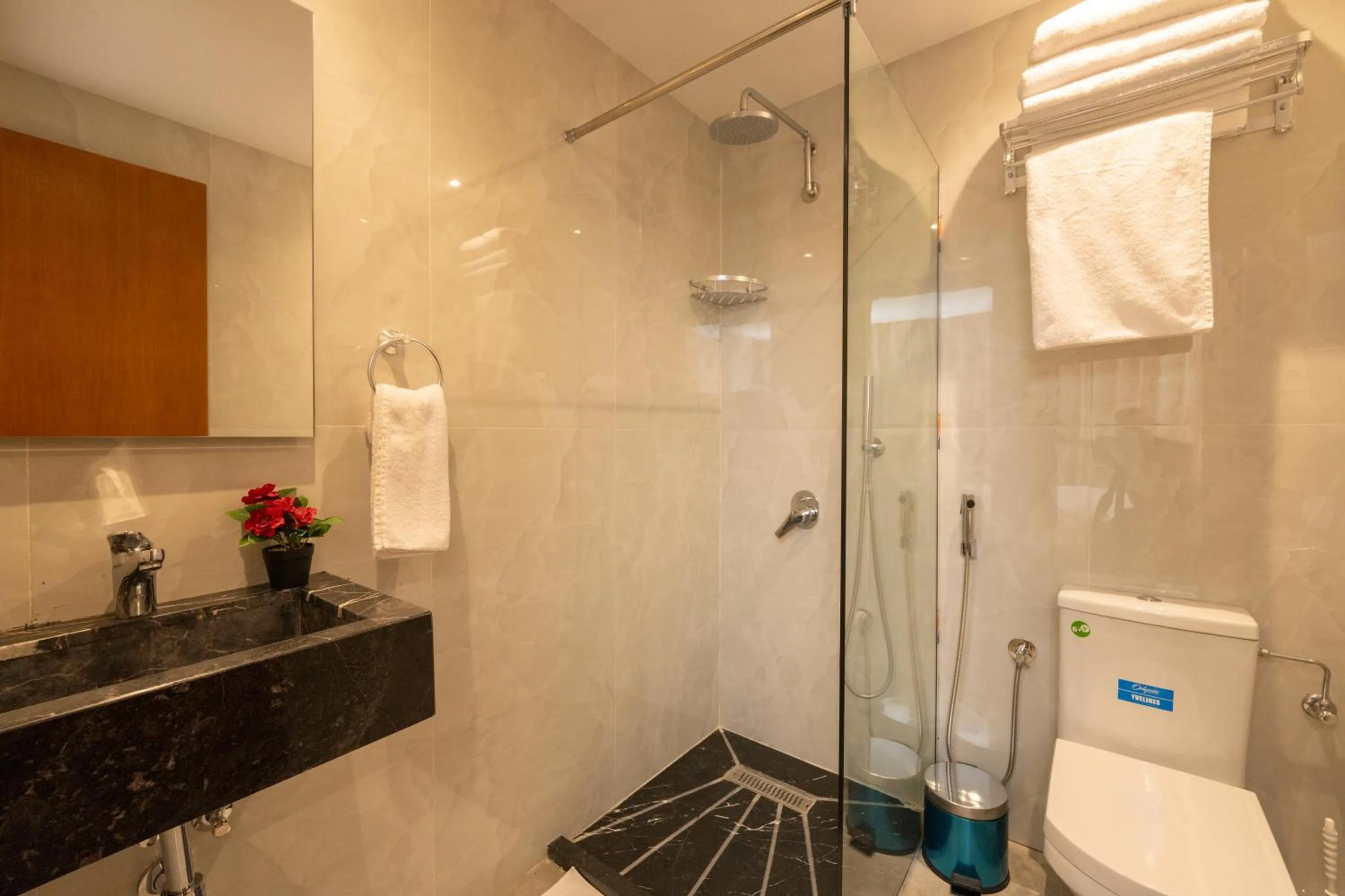 Shower in Appart Hôtel Rambla