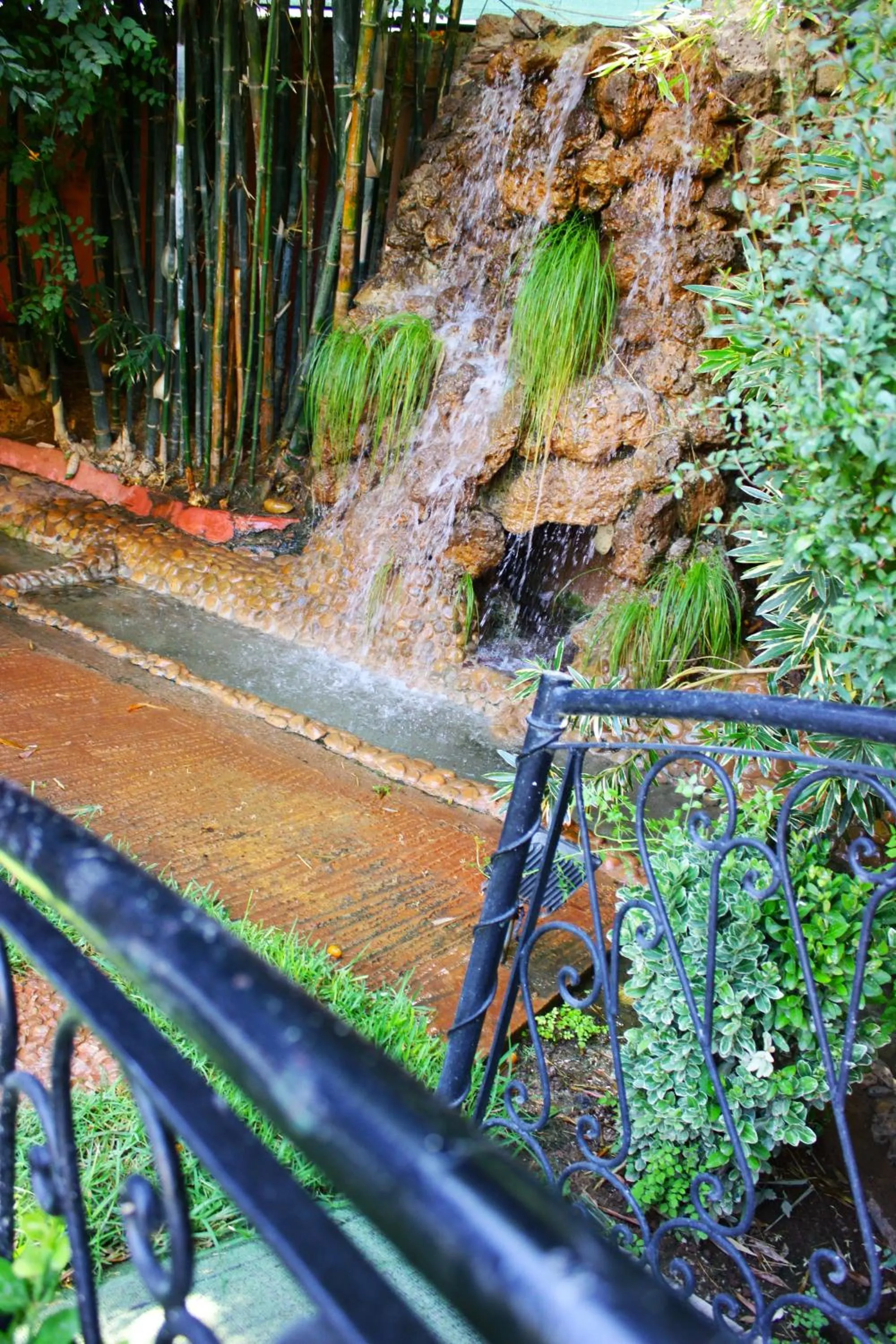 Garden in Riad Noumidya