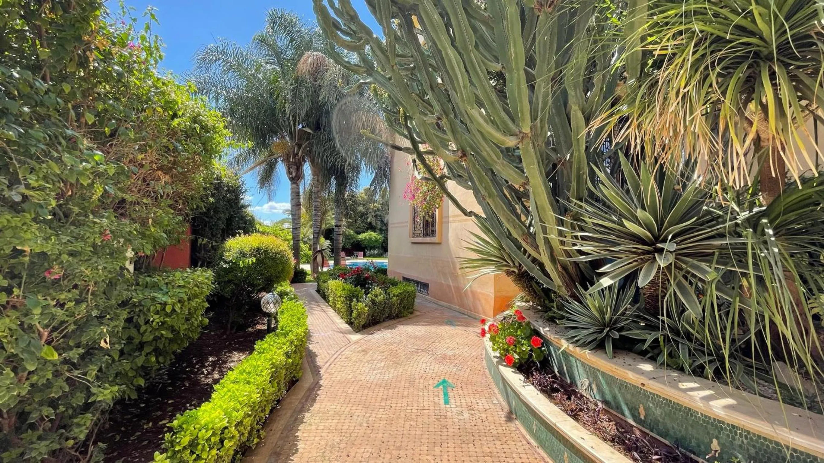 Garden in Riad Noumidya