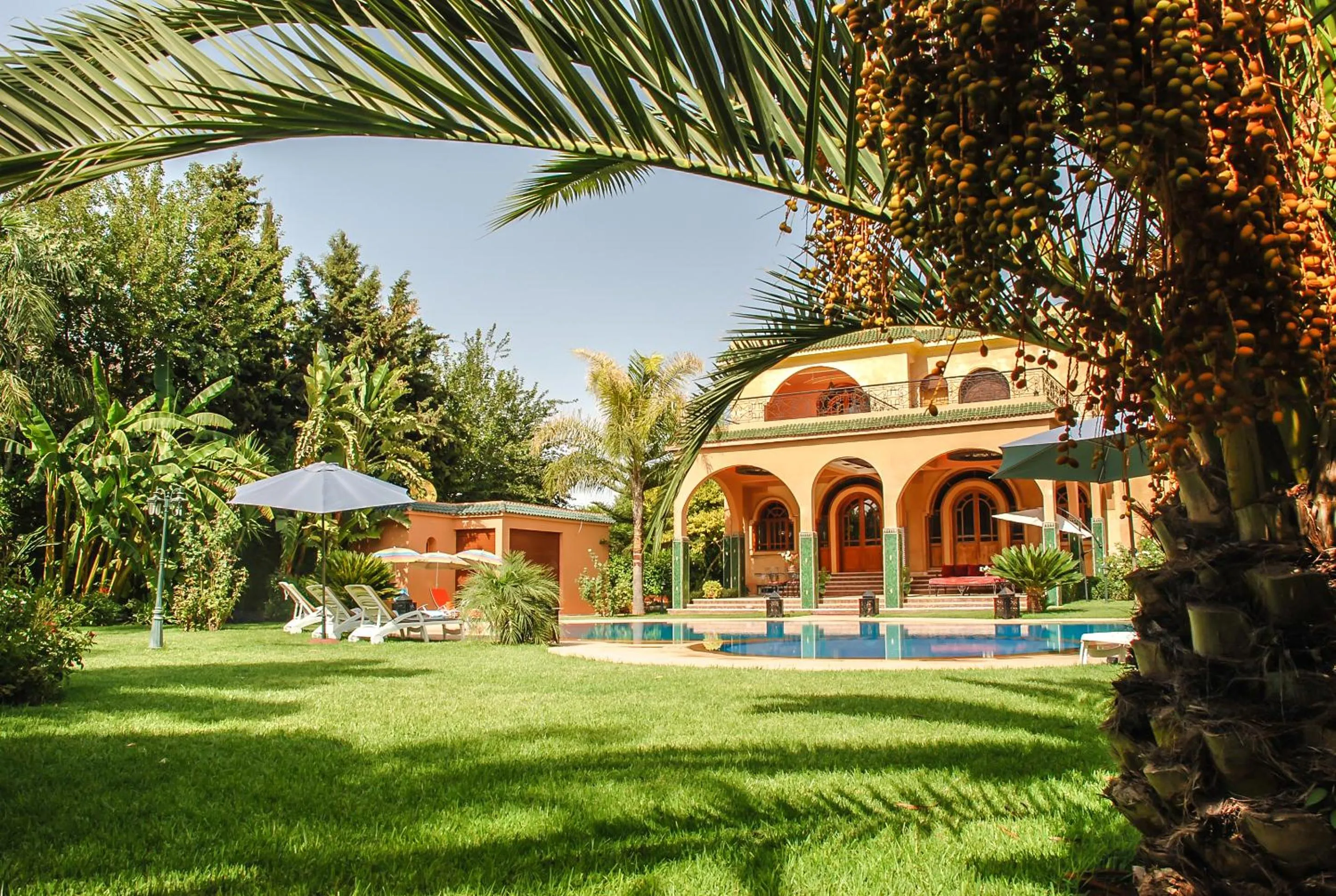 Garden in Riad Noumidya