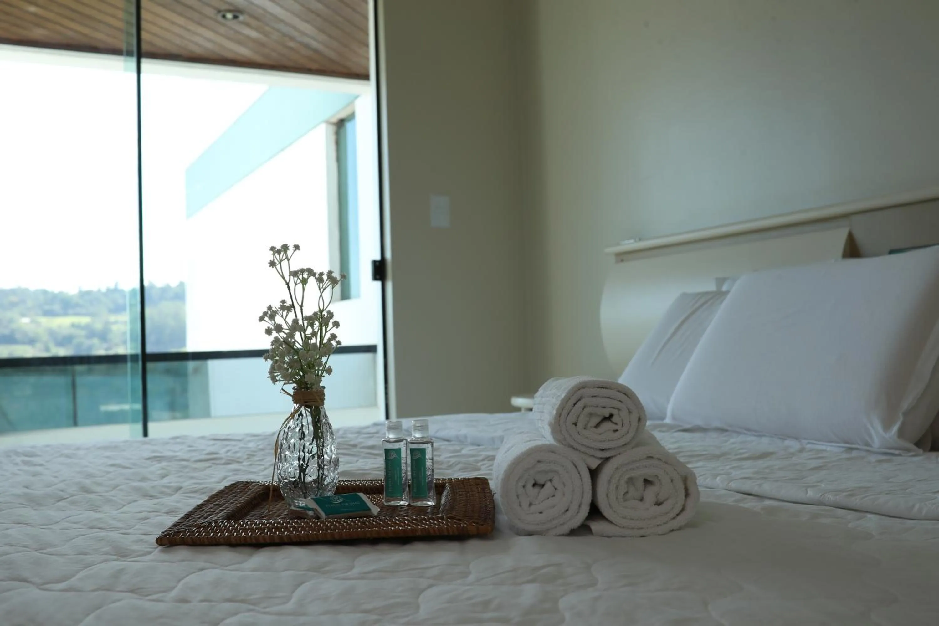 View (from property/room), Bed in Pratas Thermas Resort