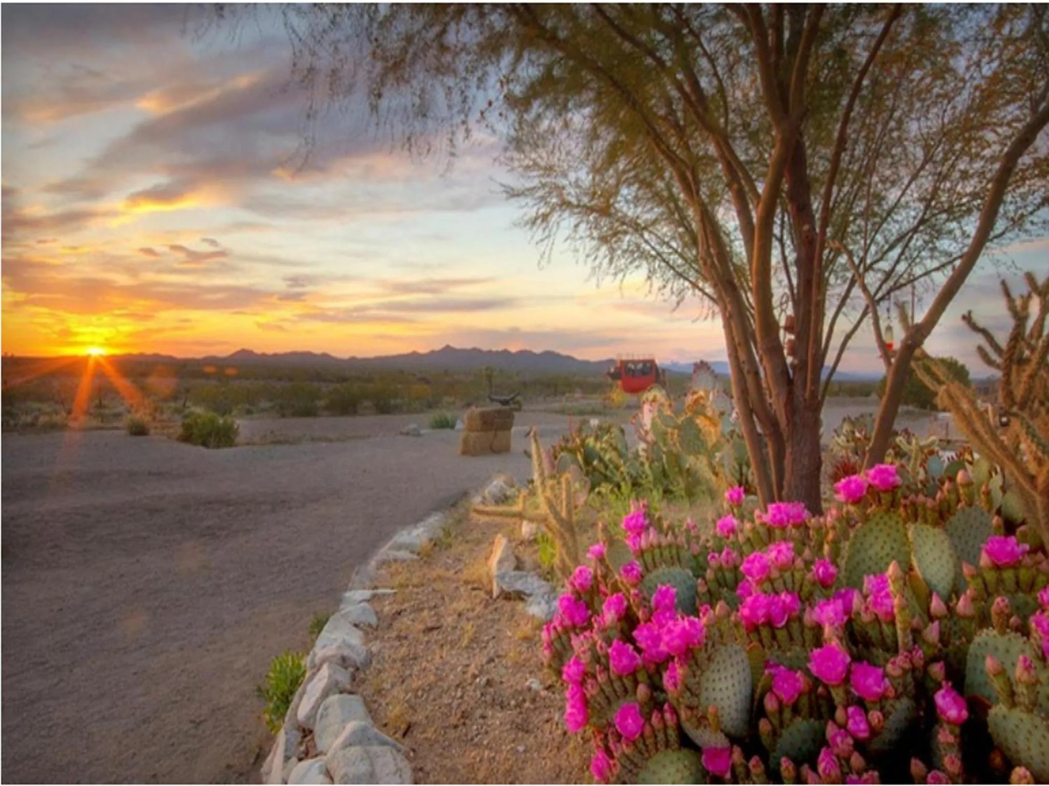 Garden in Stagecoach Trails Guest Ranch