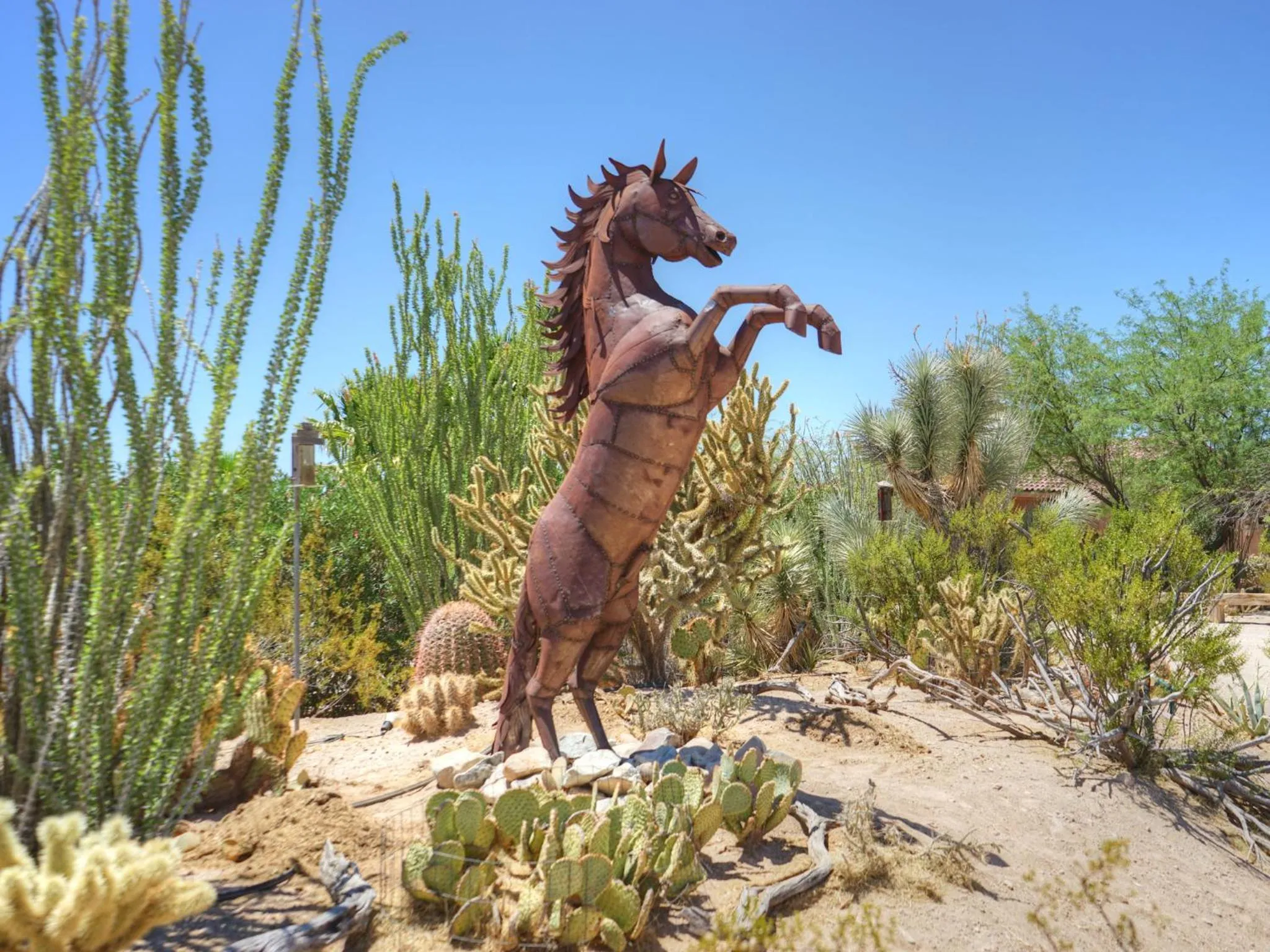 Day in Stagecoach Trails Guest Ranch