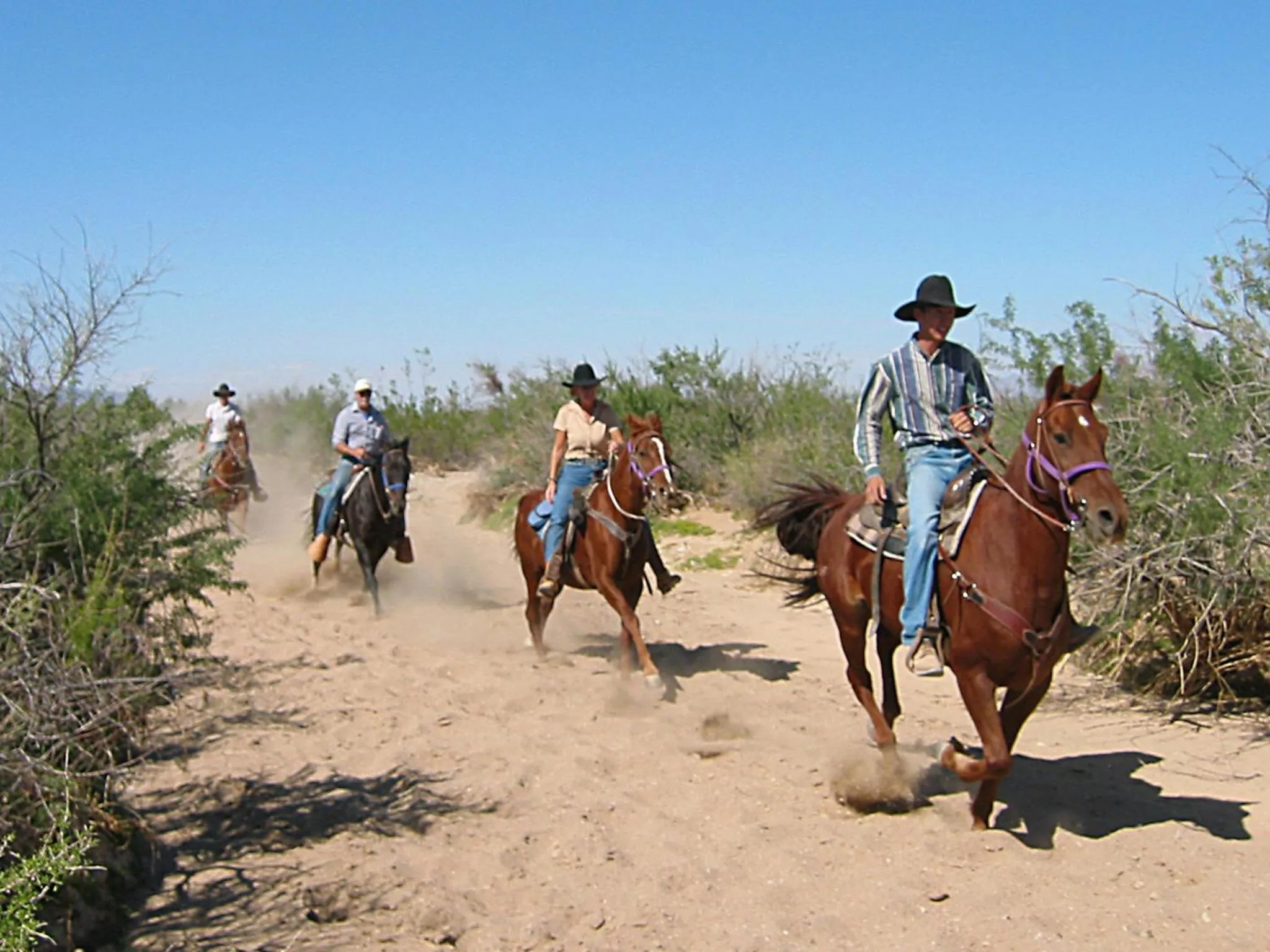 Horse-riding in Stagecoach Trails Guest Ranch