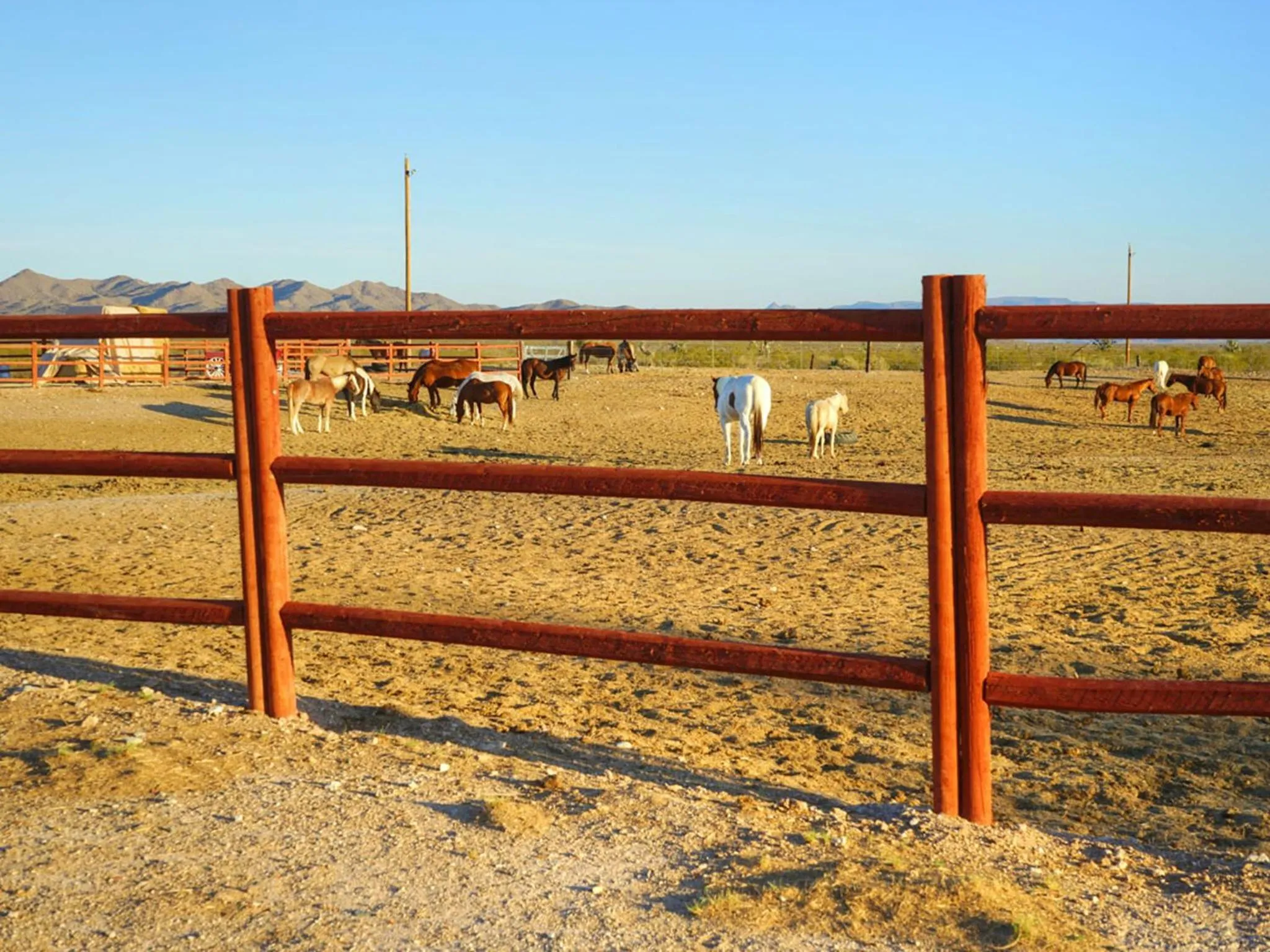Day in Stagecoach Trails Guest Ranch