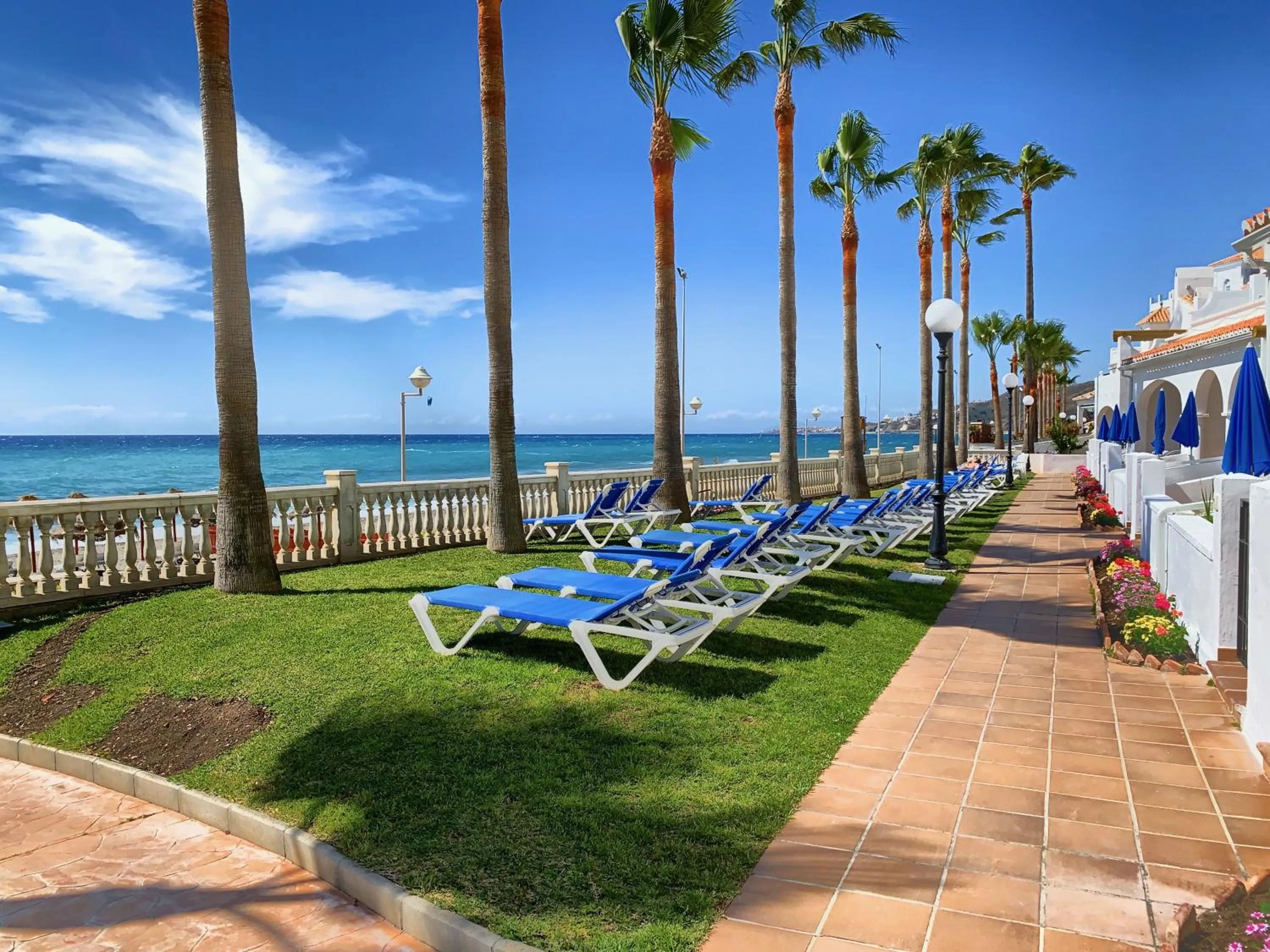 Garden in Apartamentos Perla Marina