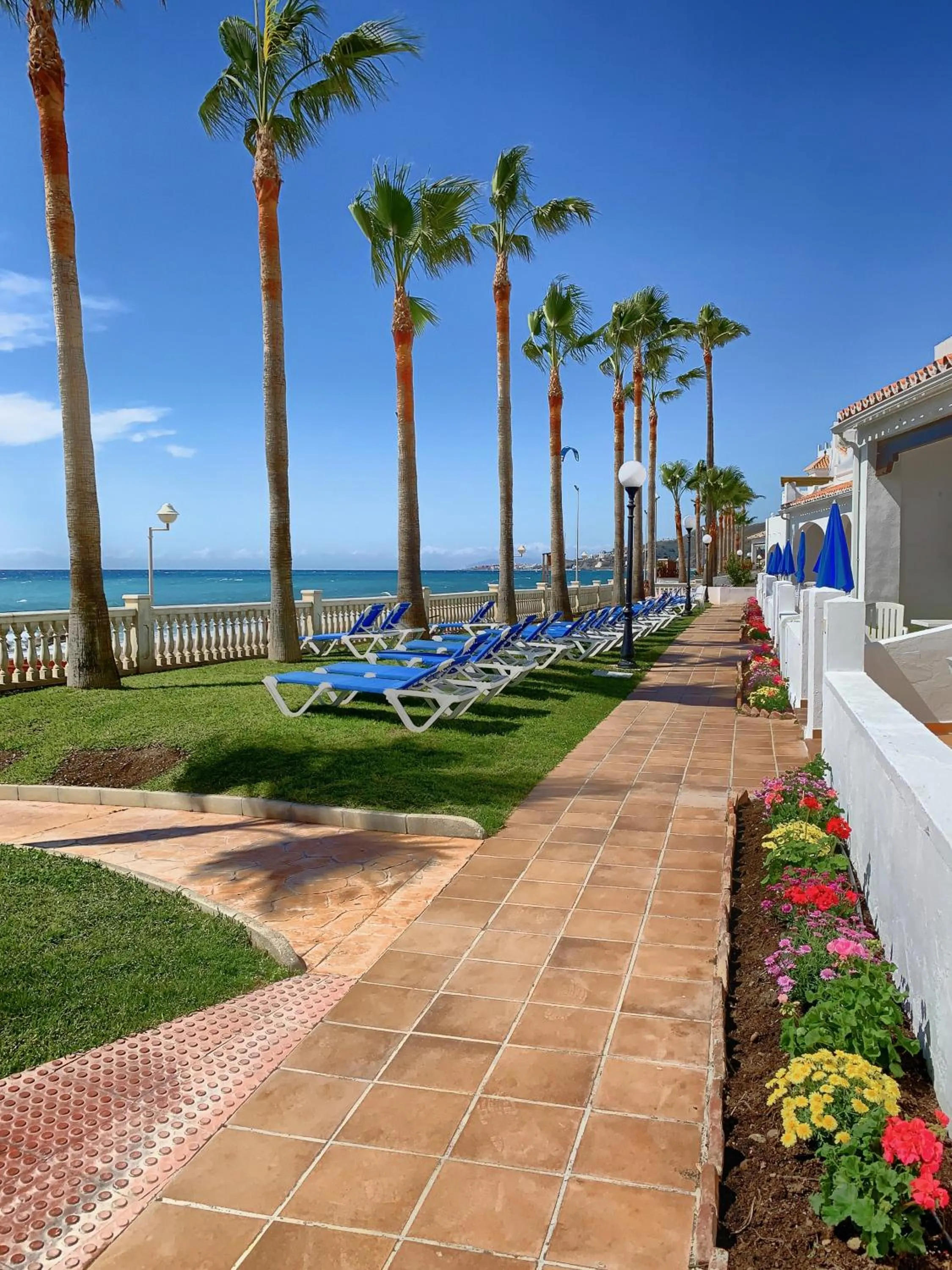 Garden in Apartamentos Perla Marina