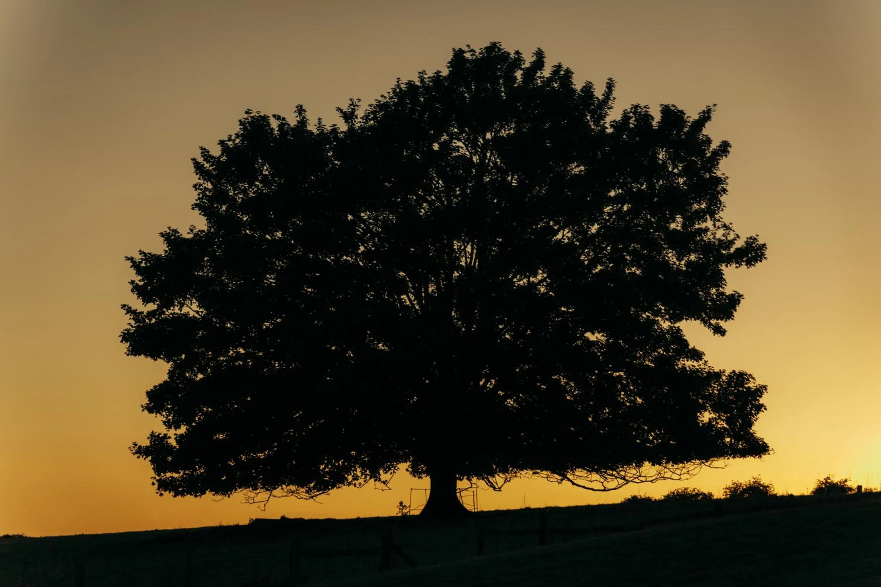 Property building in Hyll Hotel