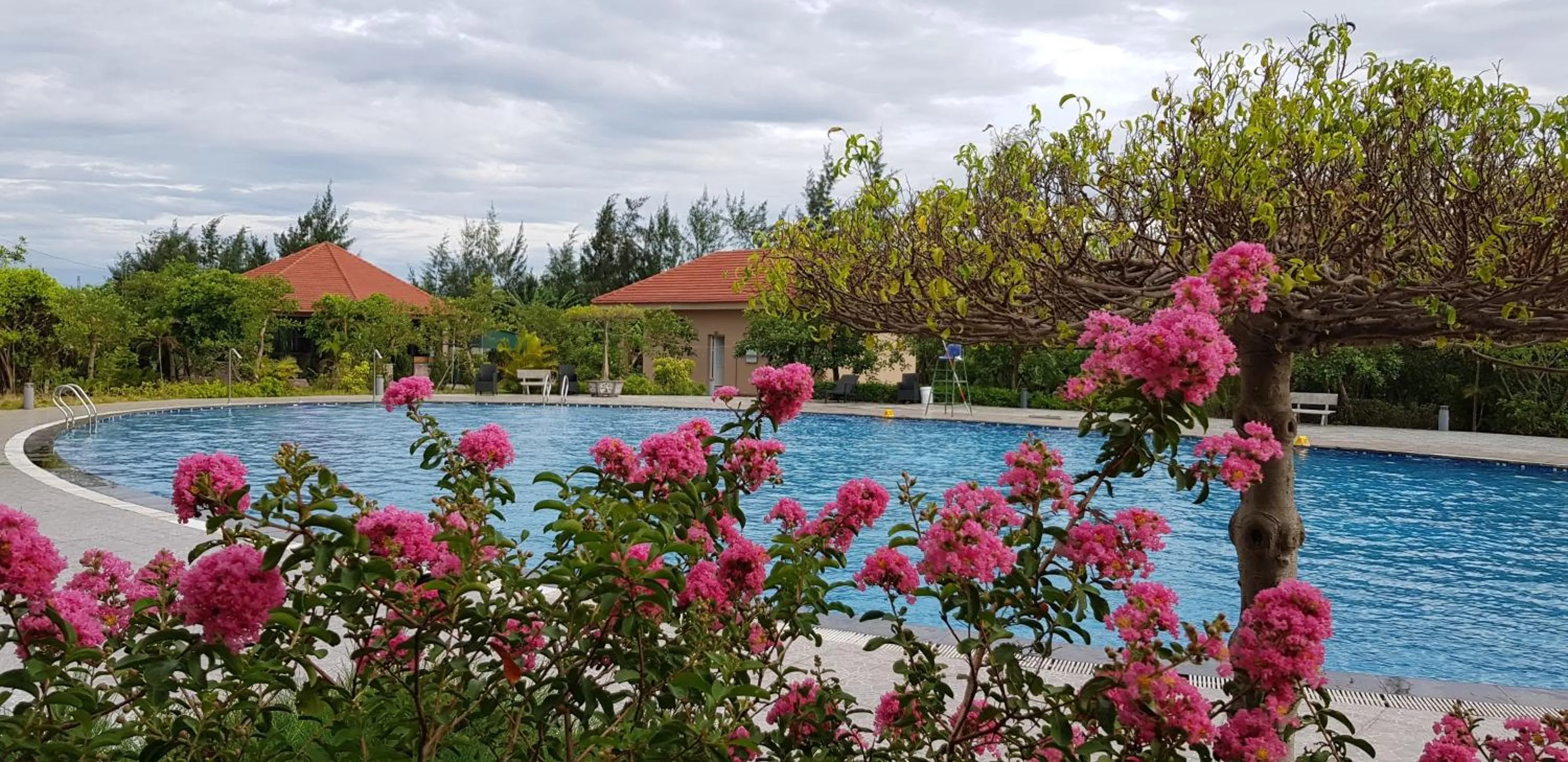 Pool view in Muong Thanh Grand Ha Tinh Hotel