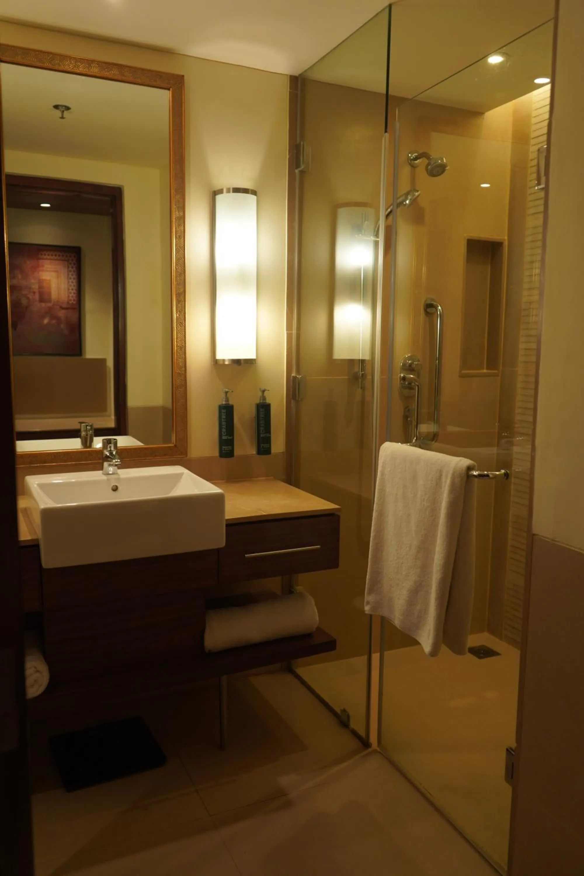 Bathroom in DoubleTree by Hilton Agra