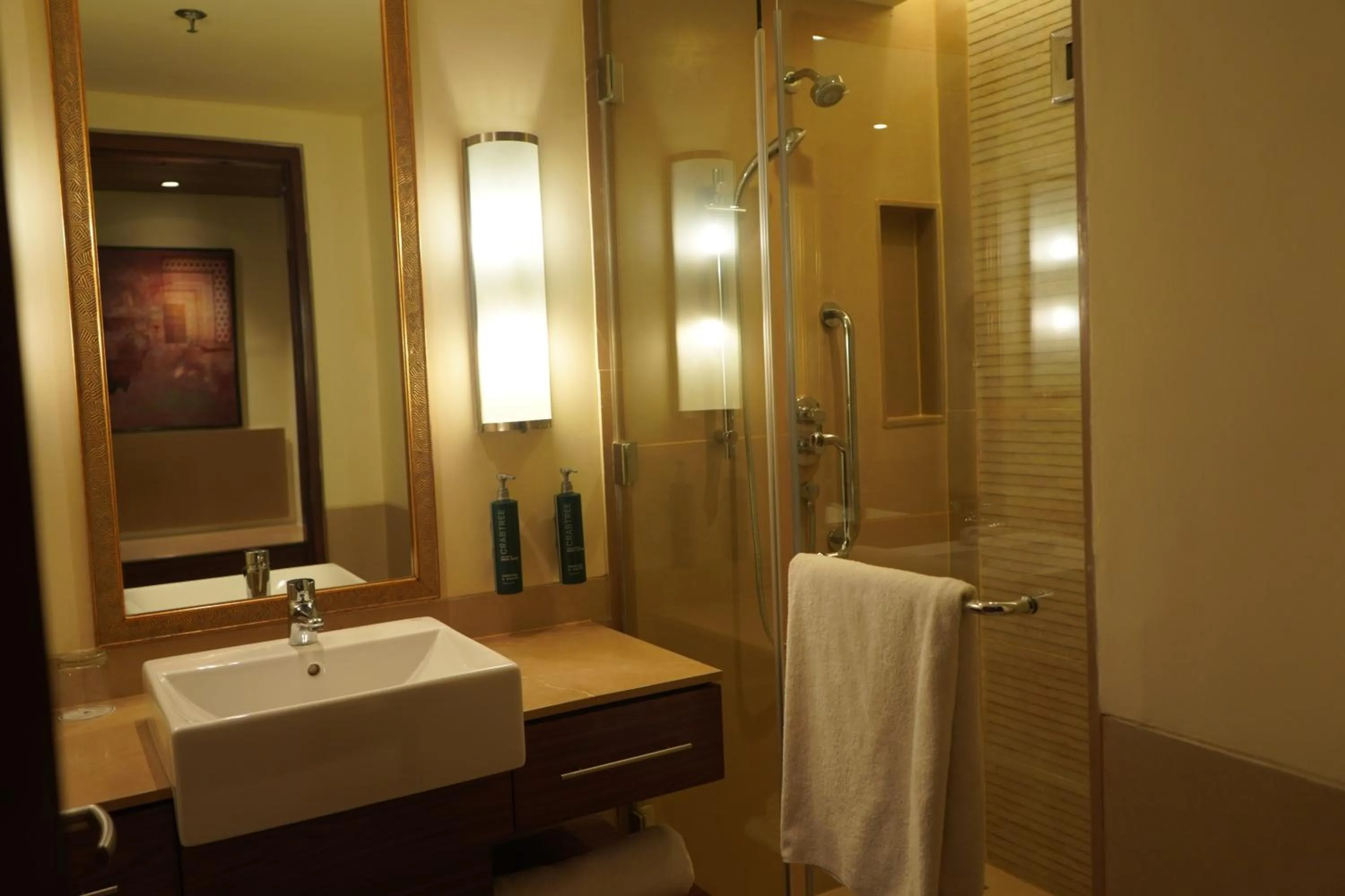 Bathroom in DoubleTree by Hilton Agra
