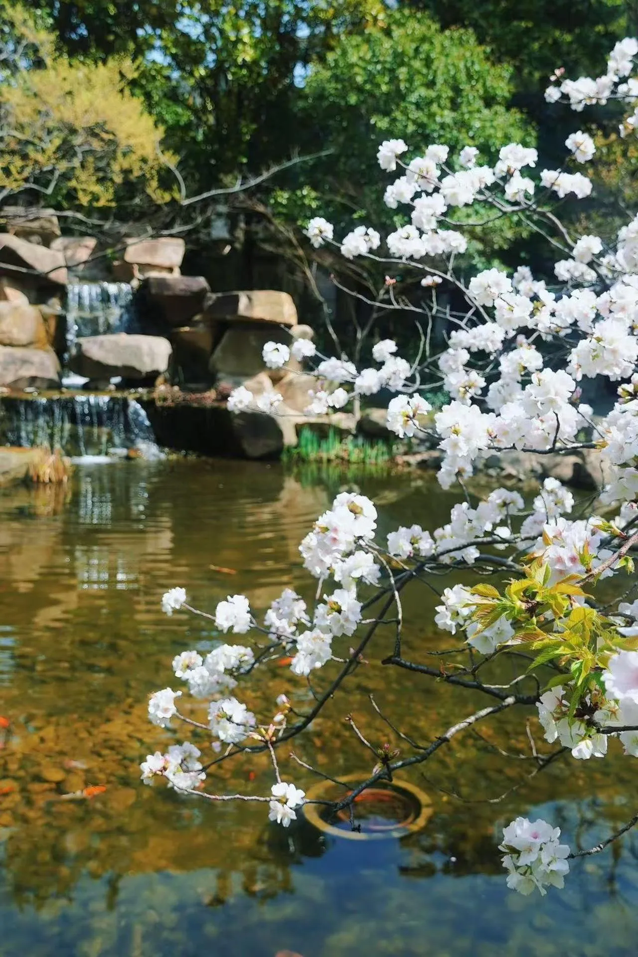 Garden view in Belgravia Serviced Residence Wuxi