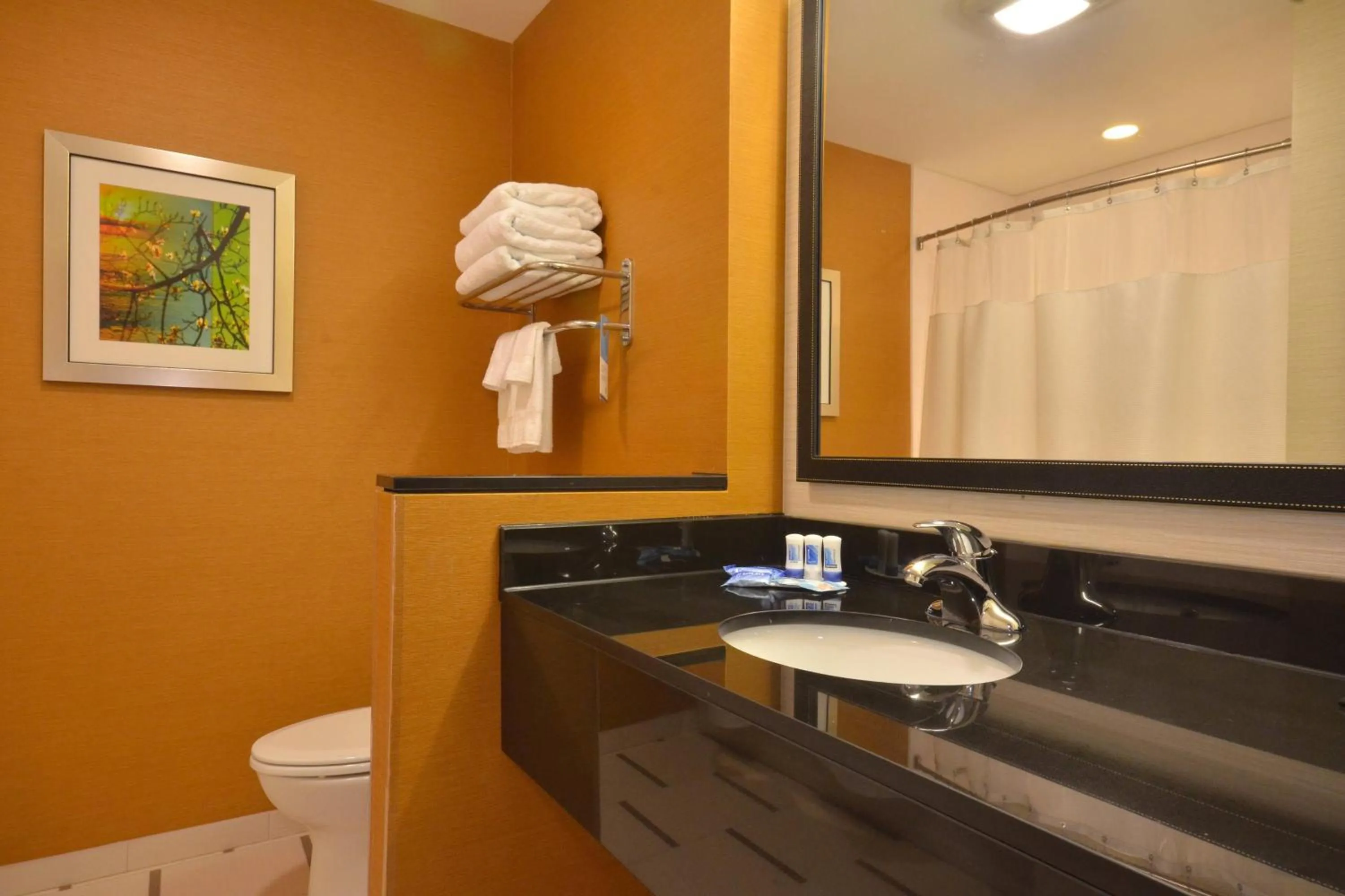 Bathroom in Fairfield Inn & Suites by Marriott St. Louis Pontoon Beach/Granite City, IL