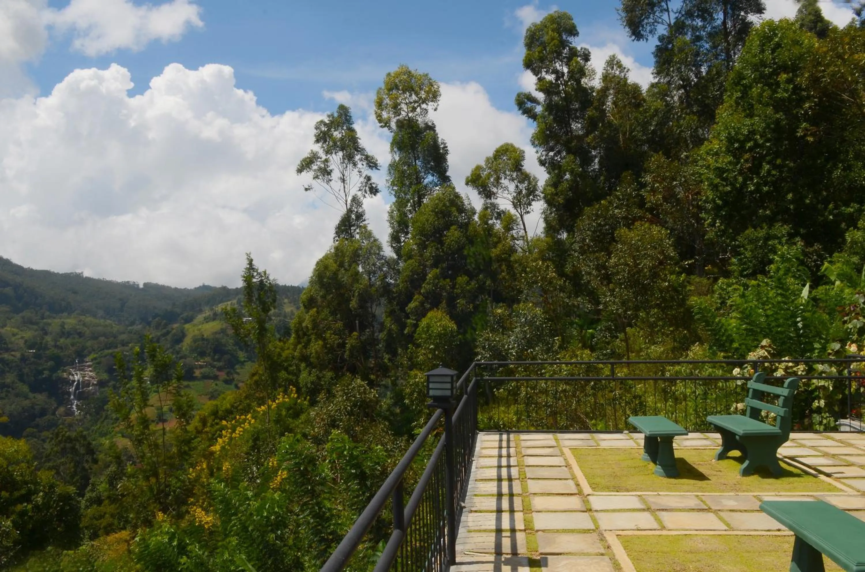 Garden in Ella Gap Panorama