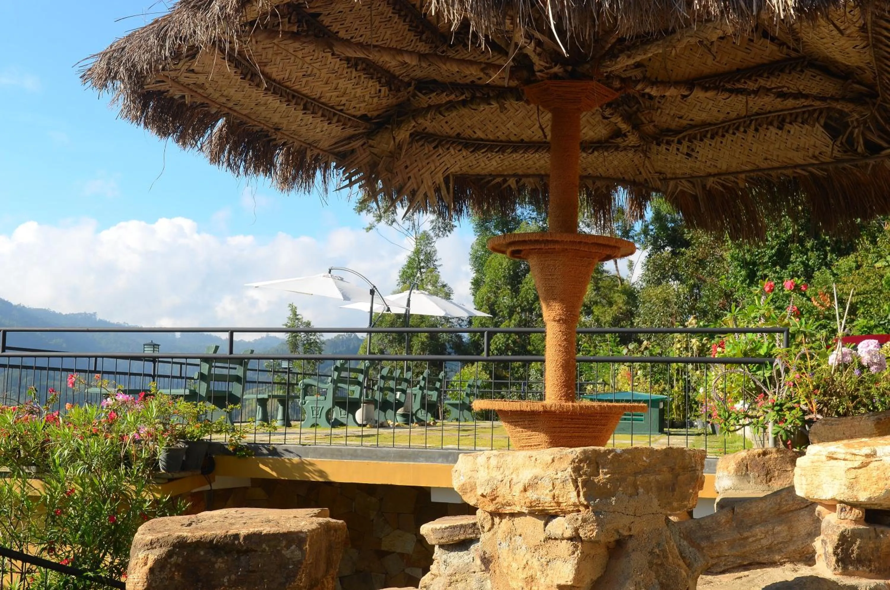 Garden in Ella Gap Panorama