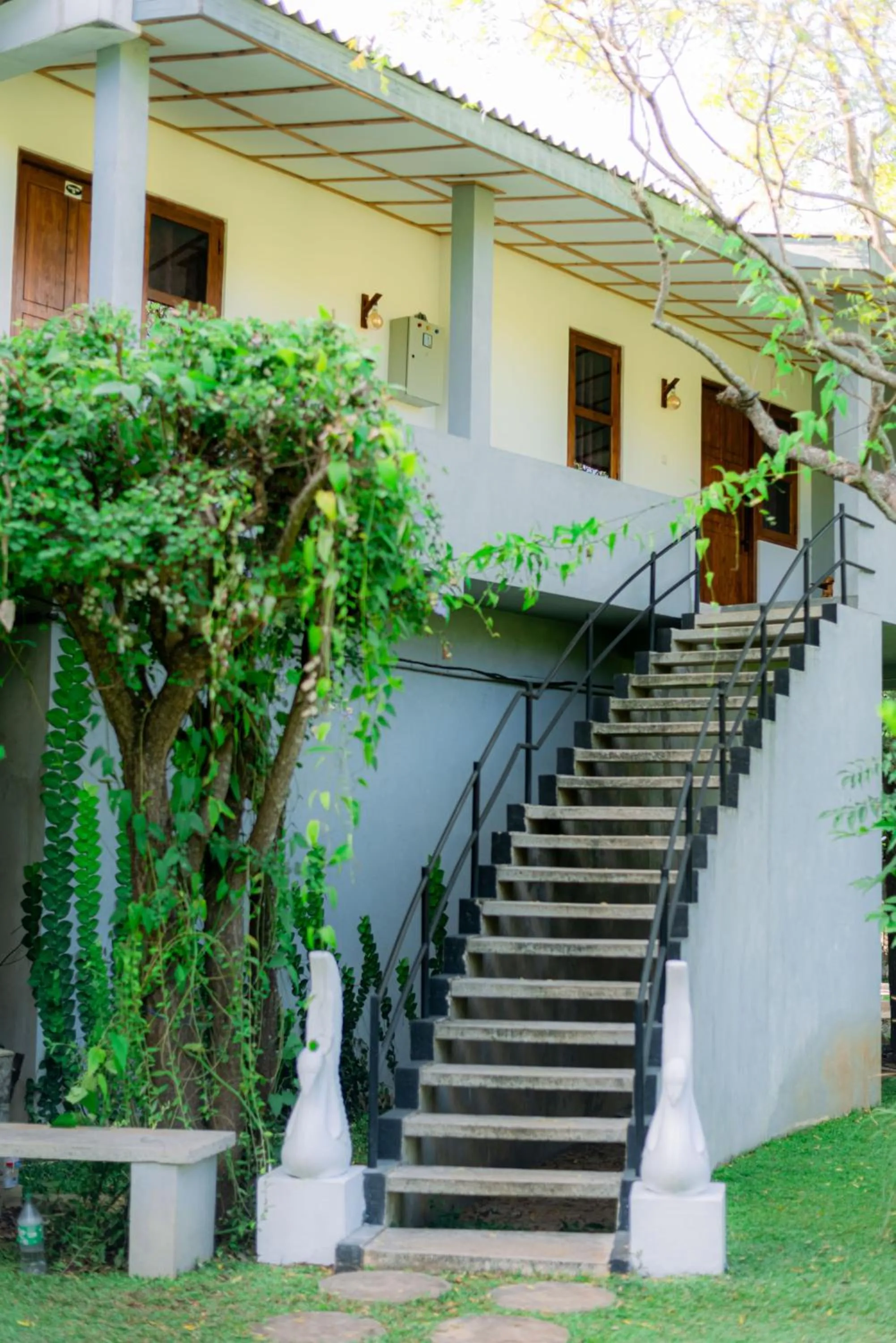 Spring in Eco Hotel Black & White - Anuradhapura