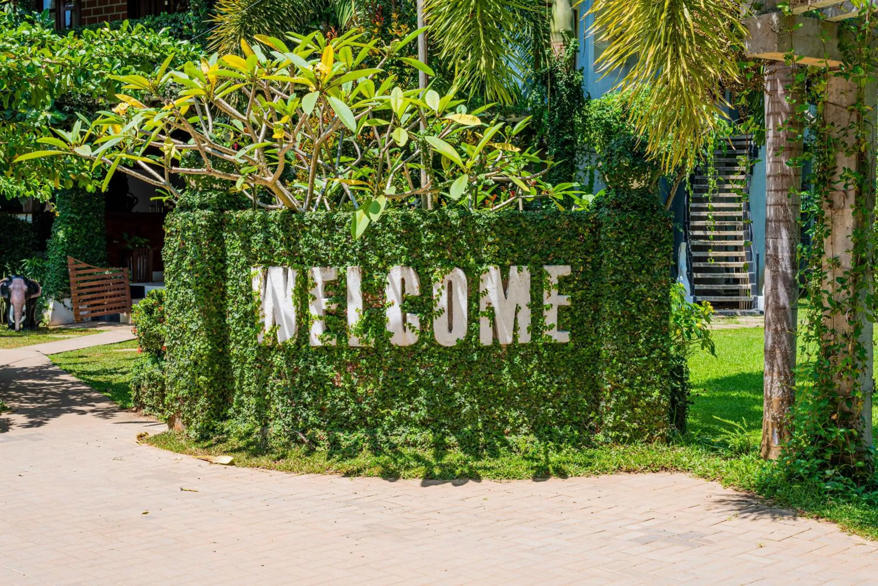 Garden in Eco Hotel Black & White - Anuradhapura