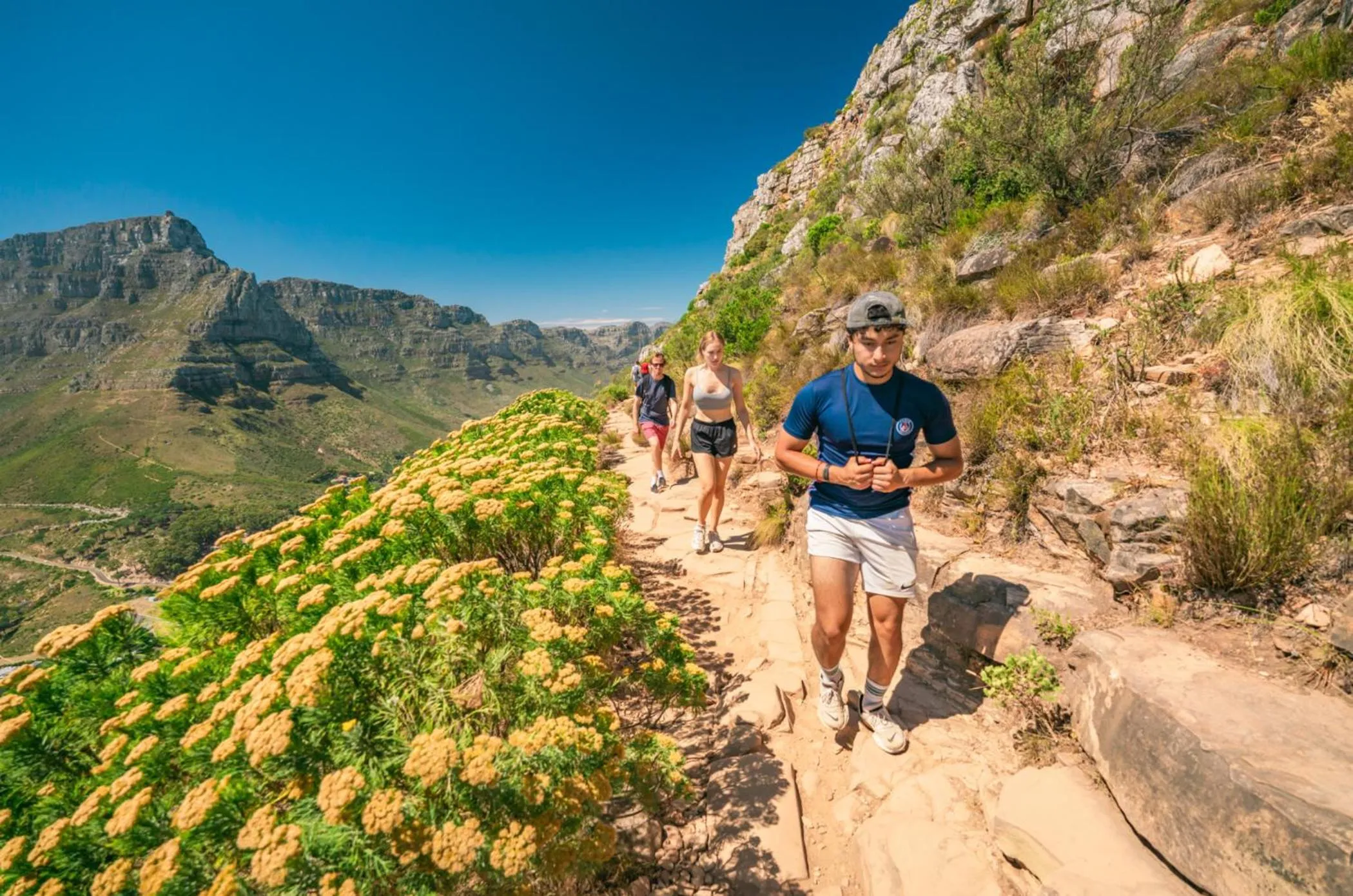 Activities in Never at Home Green Point