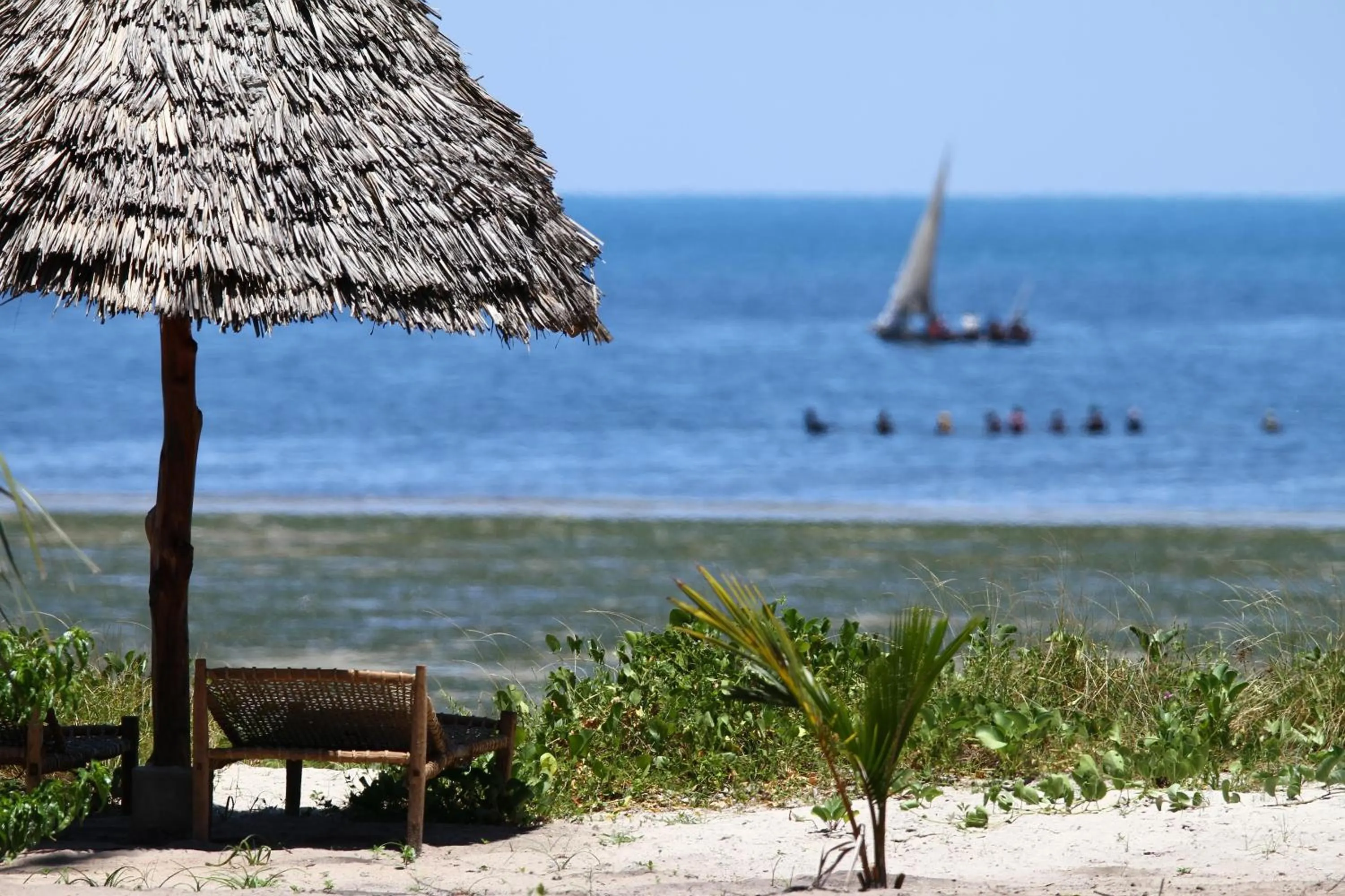 Beach in Kijongo Bay Beach Resort