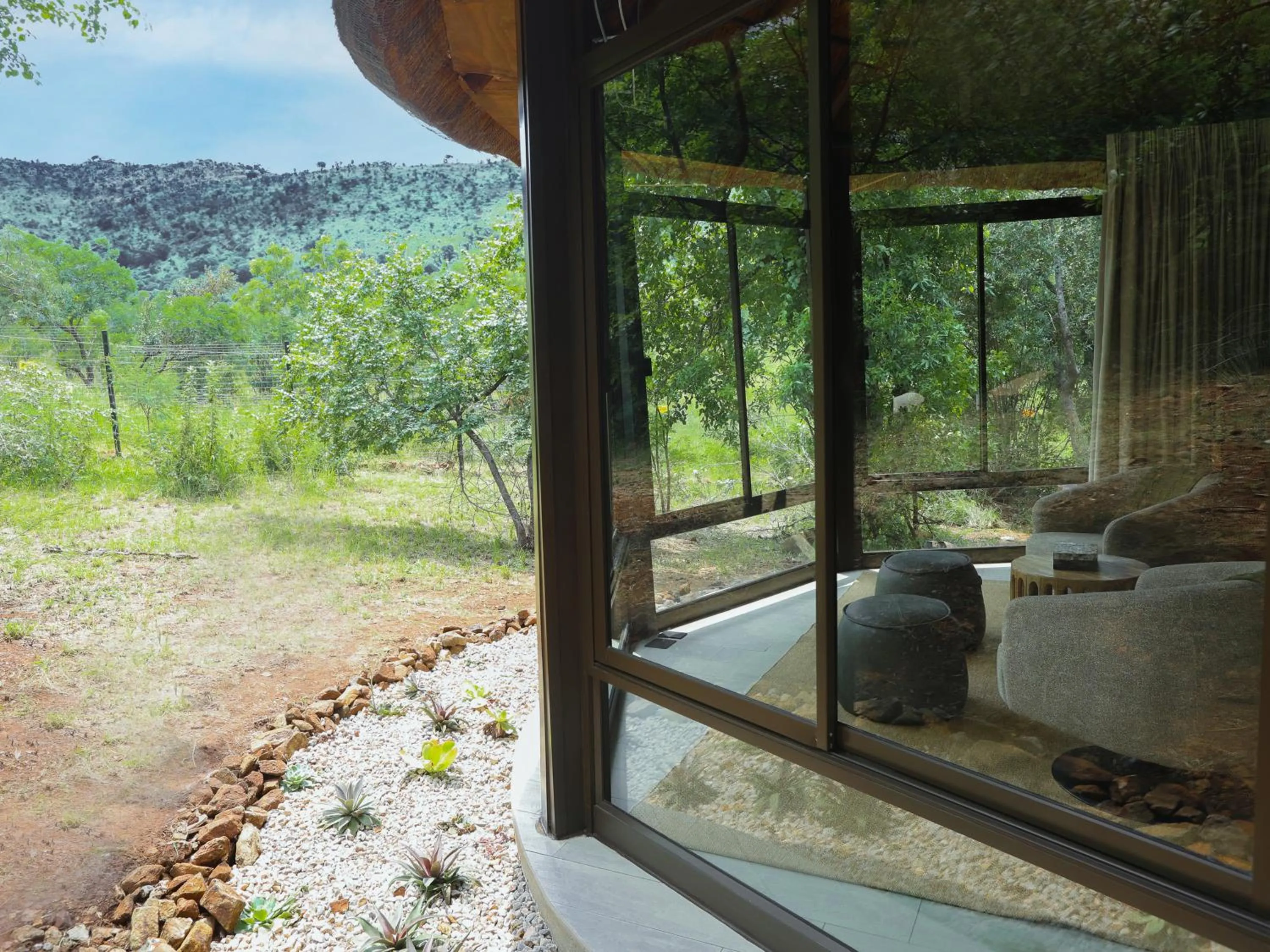 View (from property/room) in Ivory Tree Game Lodge