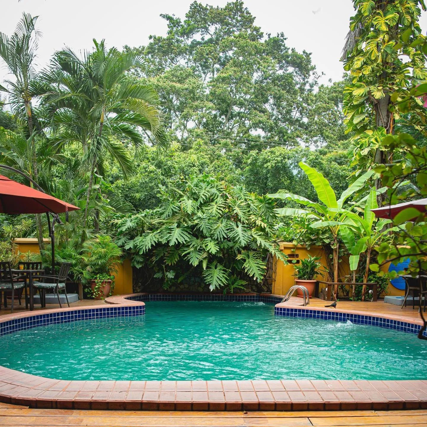 Apart Hotel La Cordillera