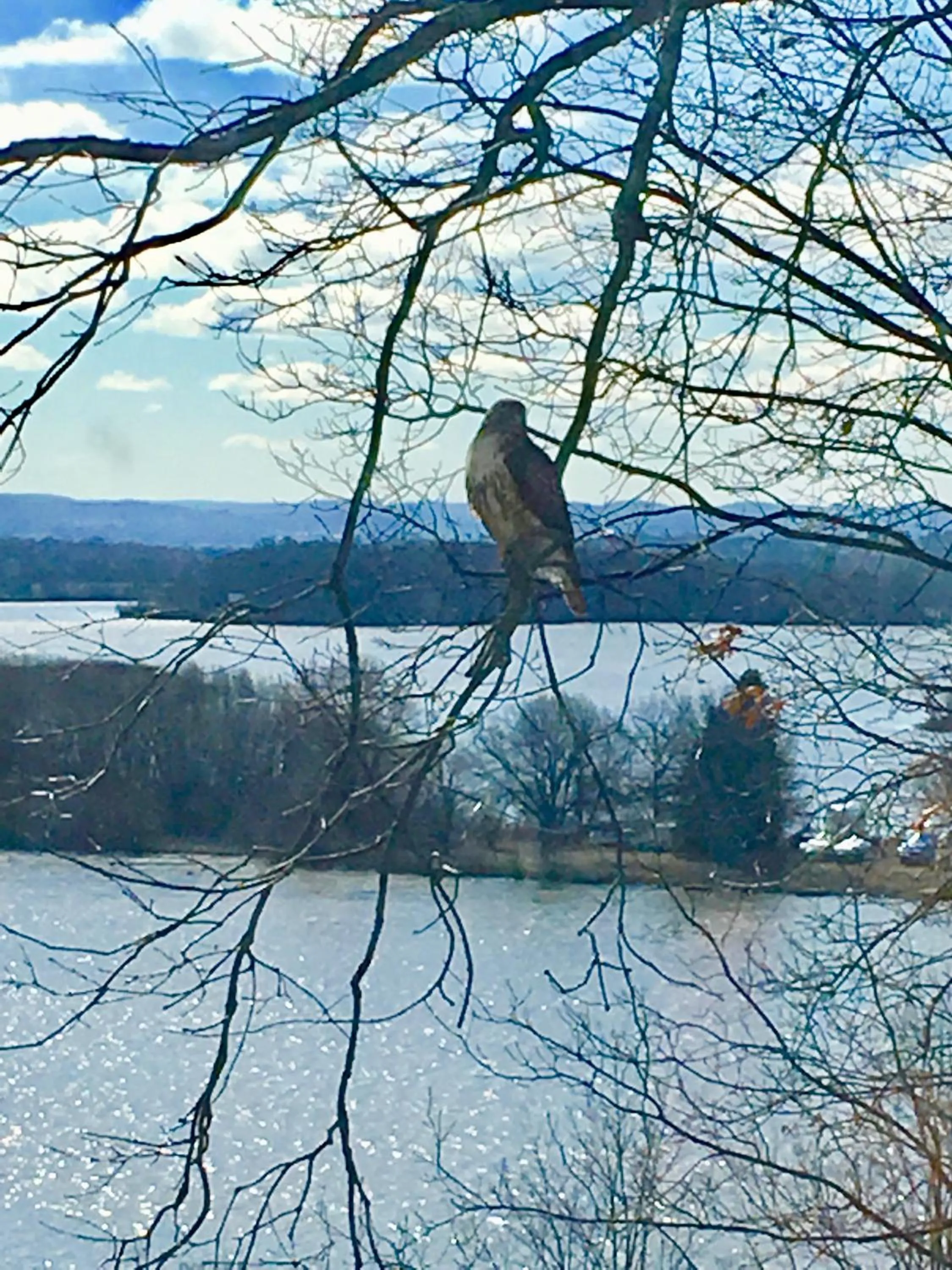 Animals in Oakcliff Bed and Breakfast