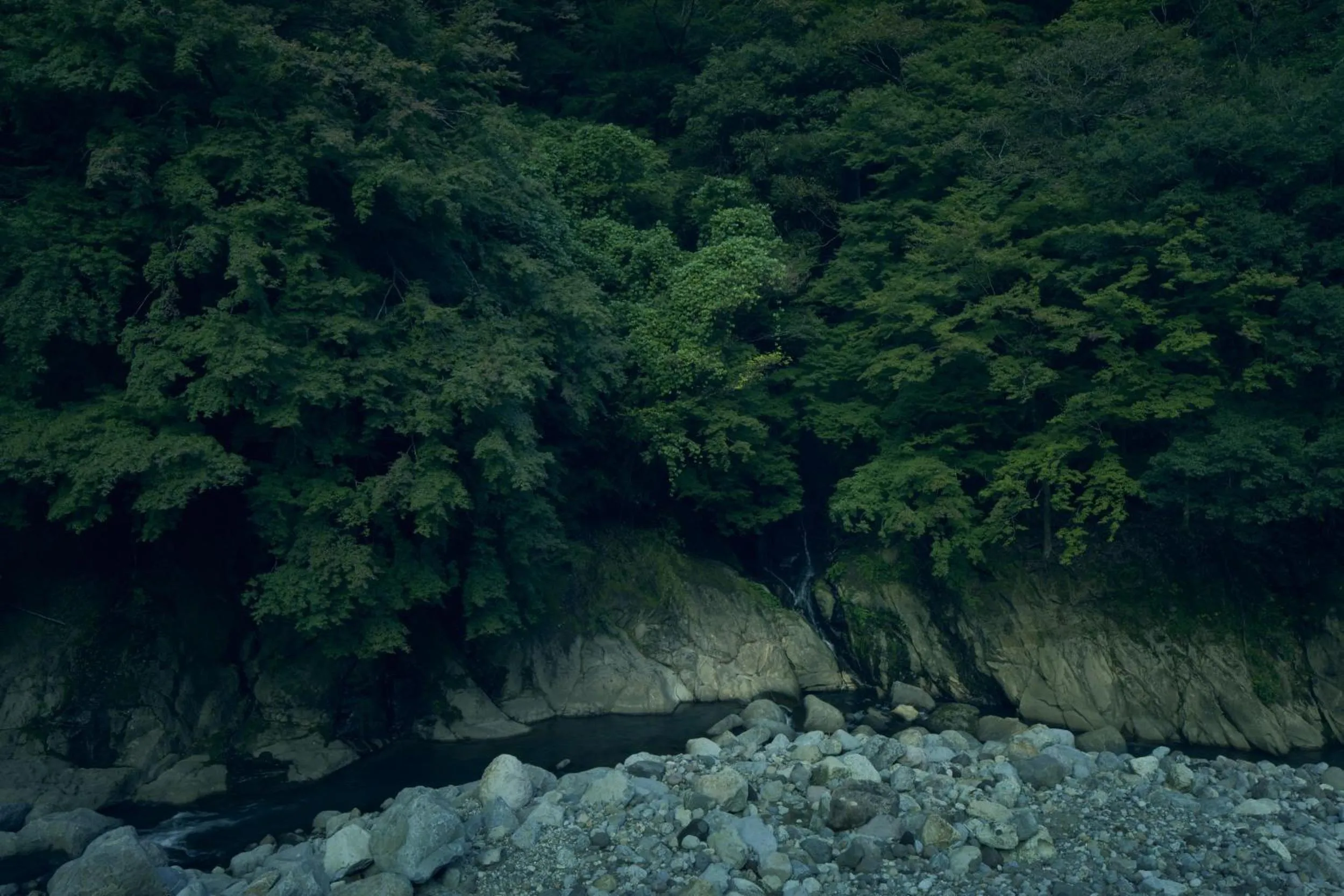 Natural landscape in ESPACIO The Hakone Geihinkan Rin-Poh-Ki-Ryu
