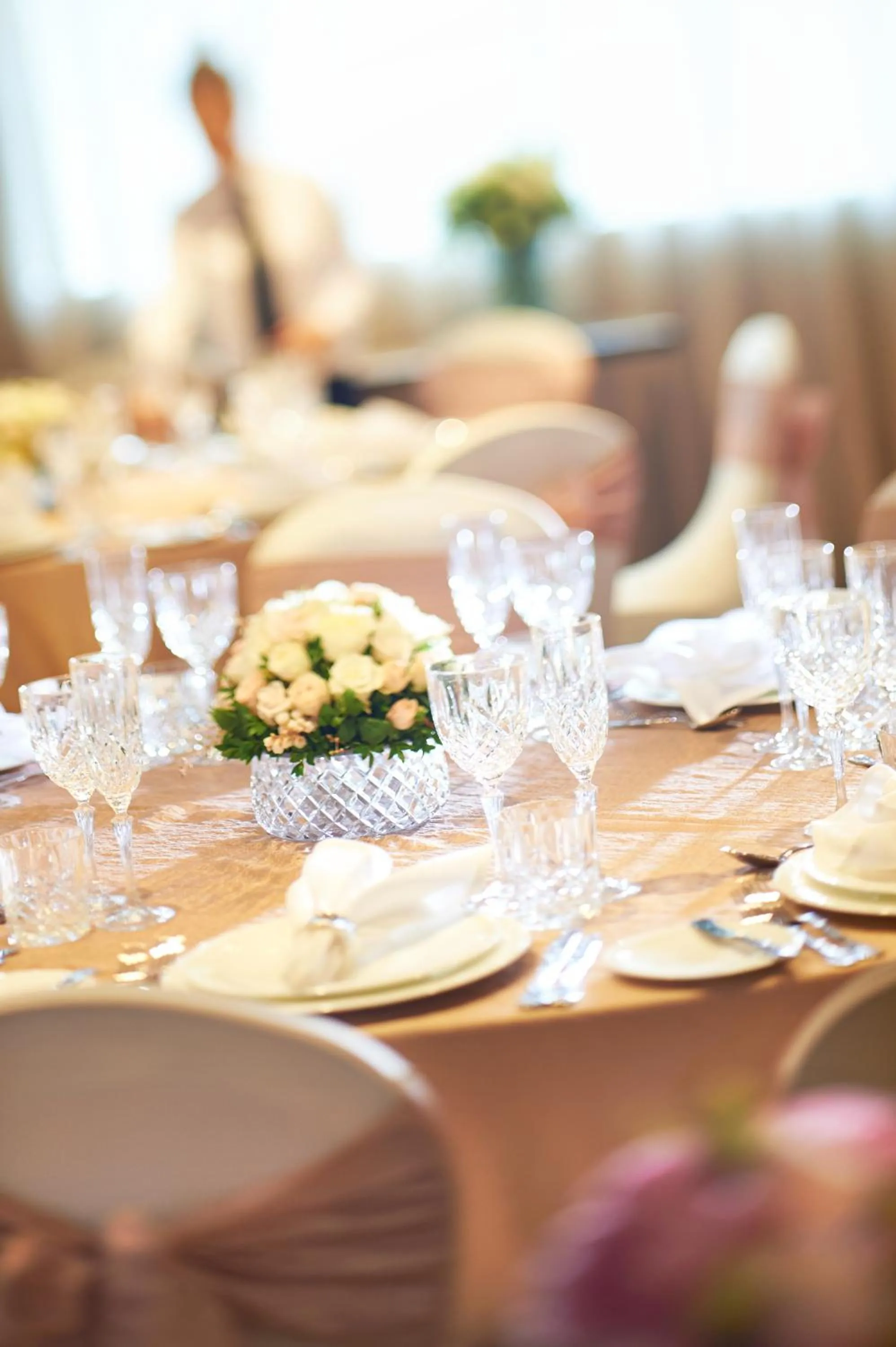 Banquet/Function facilities in Mayfair Hotel