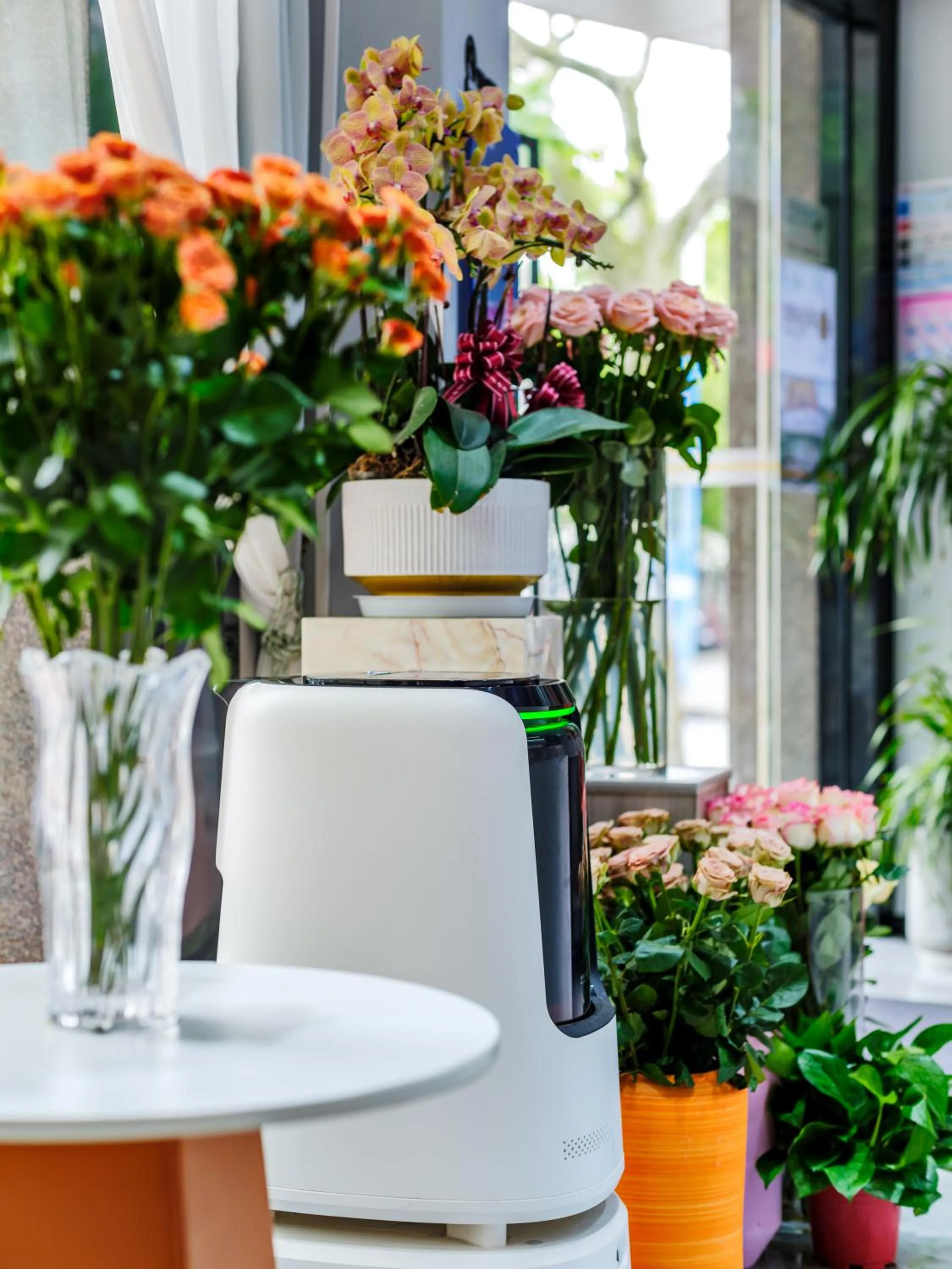 Lobby or reception in Orient Rose International Hotel