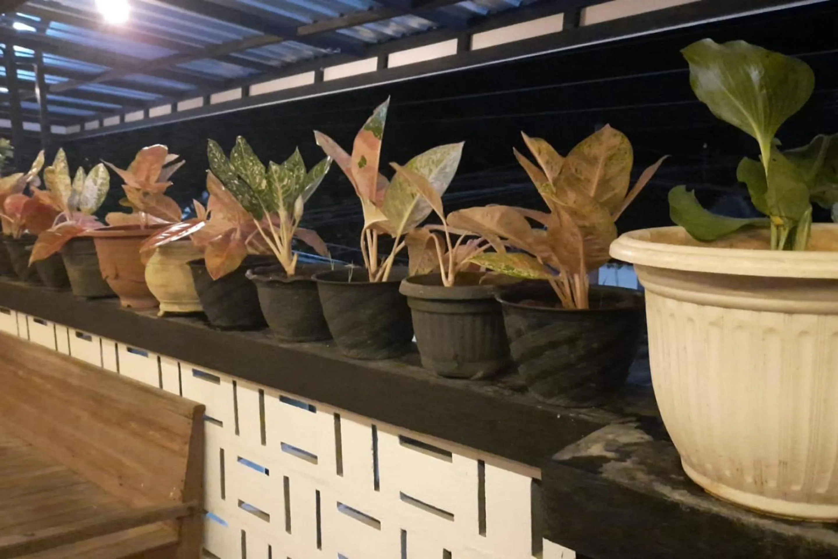 Lobby or reception in Hotel O Chimi Rumah Kost