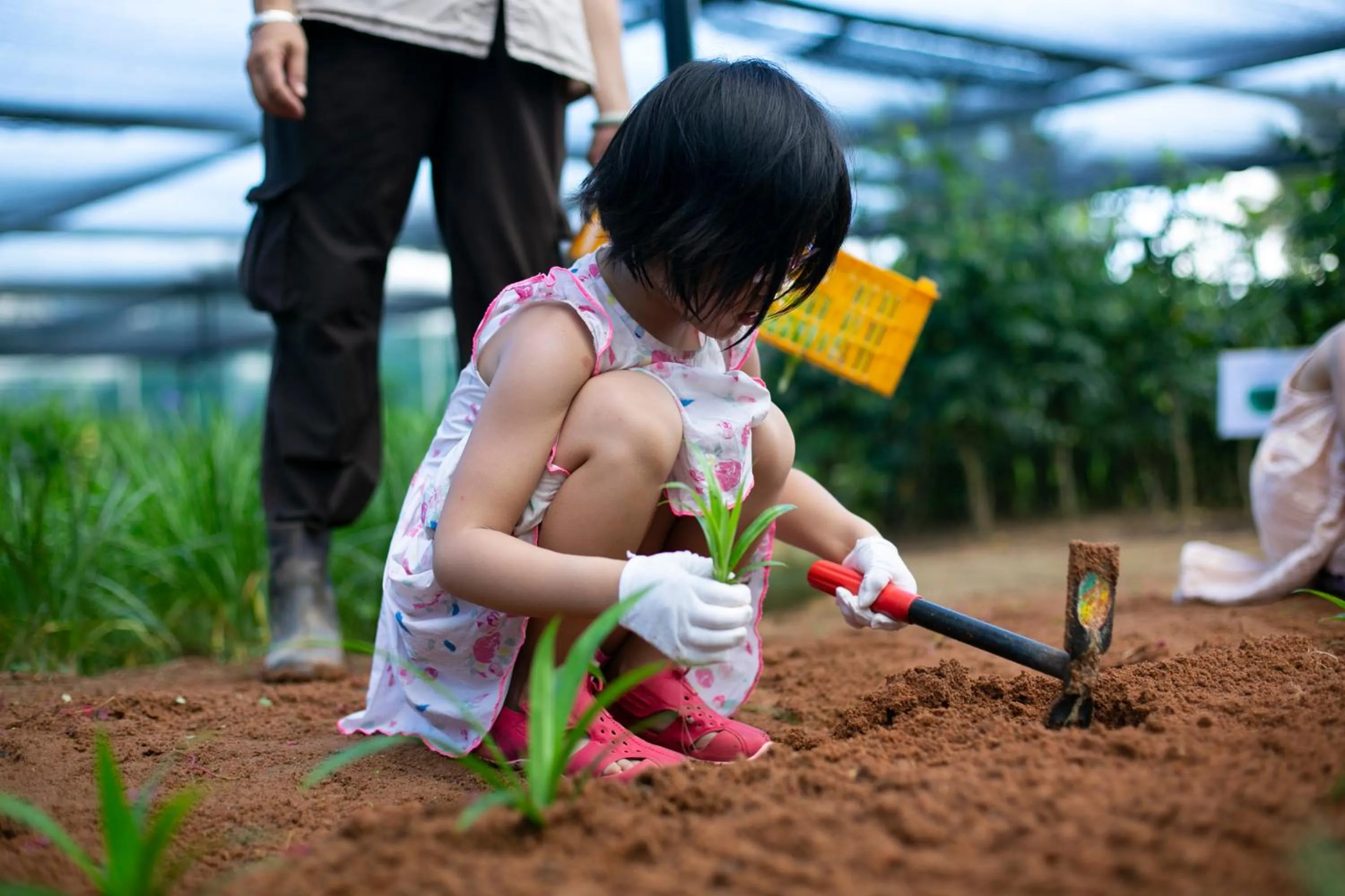 Activities in Shangri-La Sanya