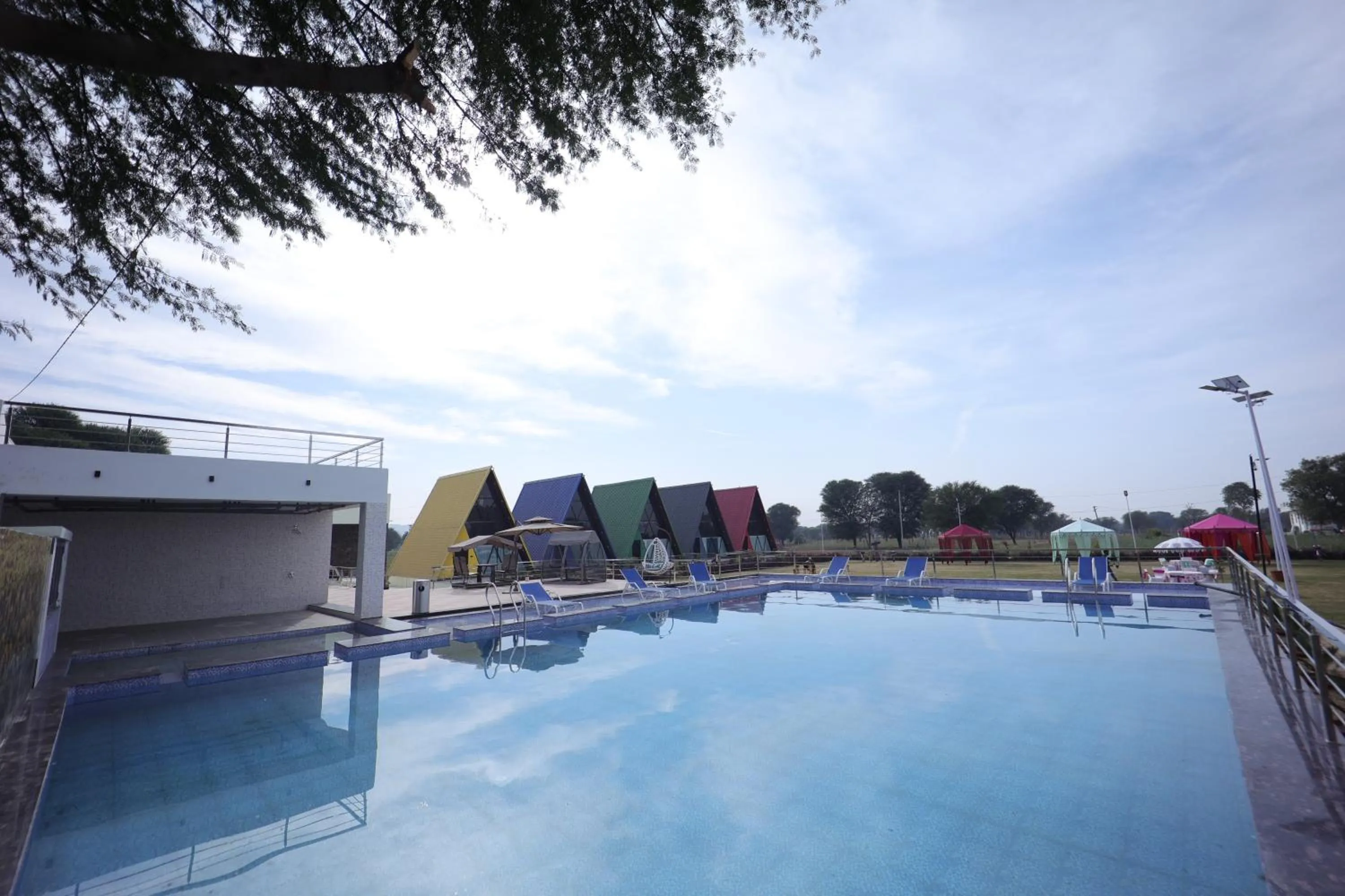 Day in Sunflower Saga