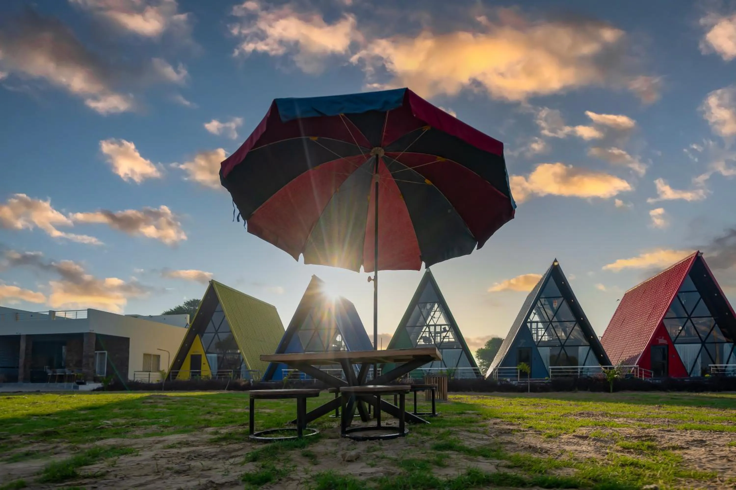 Day in Sunflower Saga