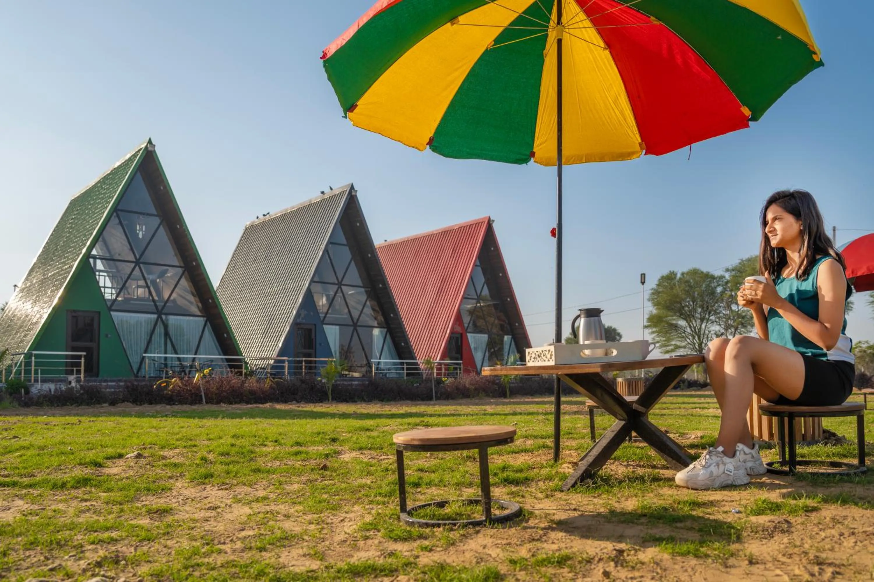 Garden in Sunflower Saga