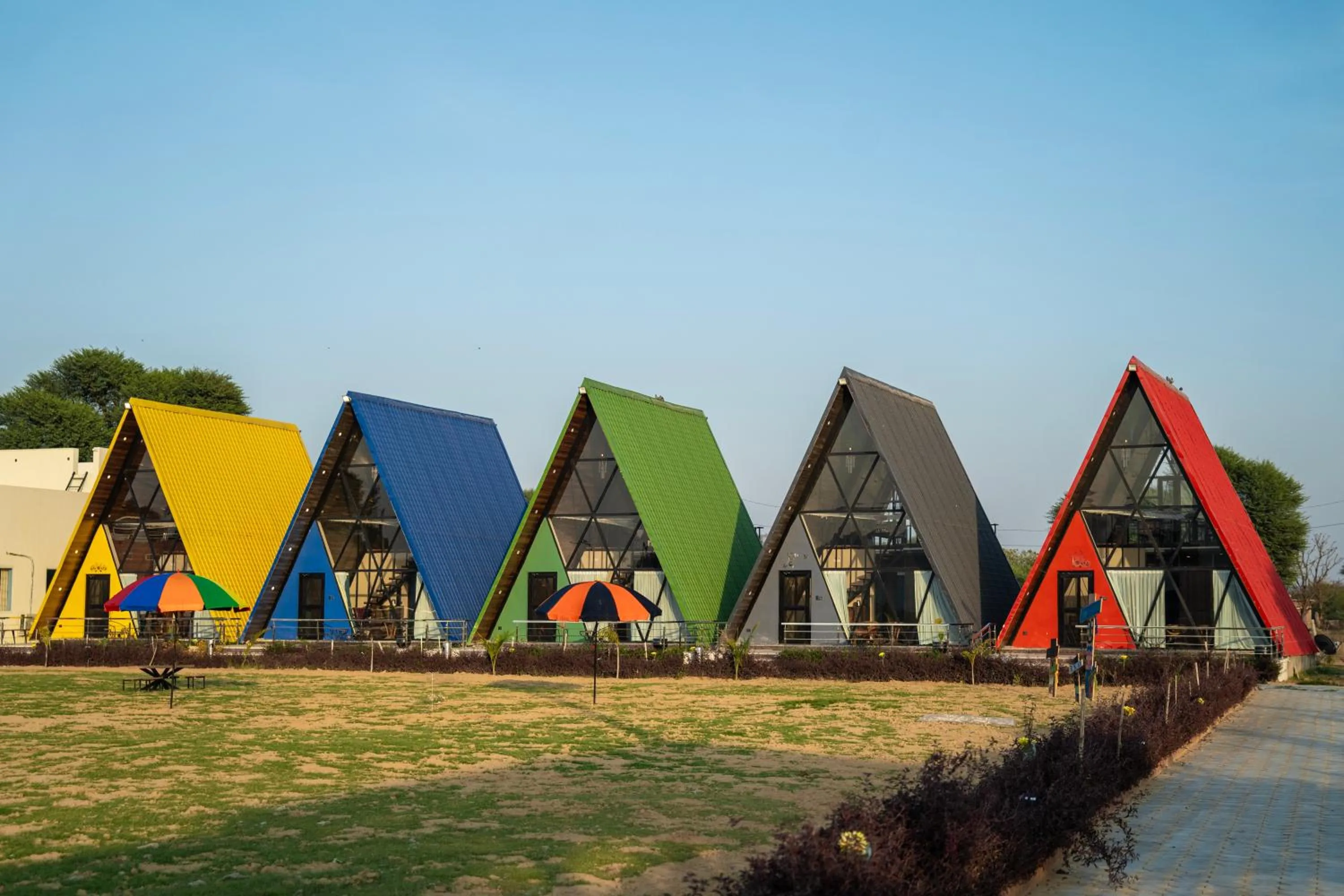 Day in Sunflower Saga