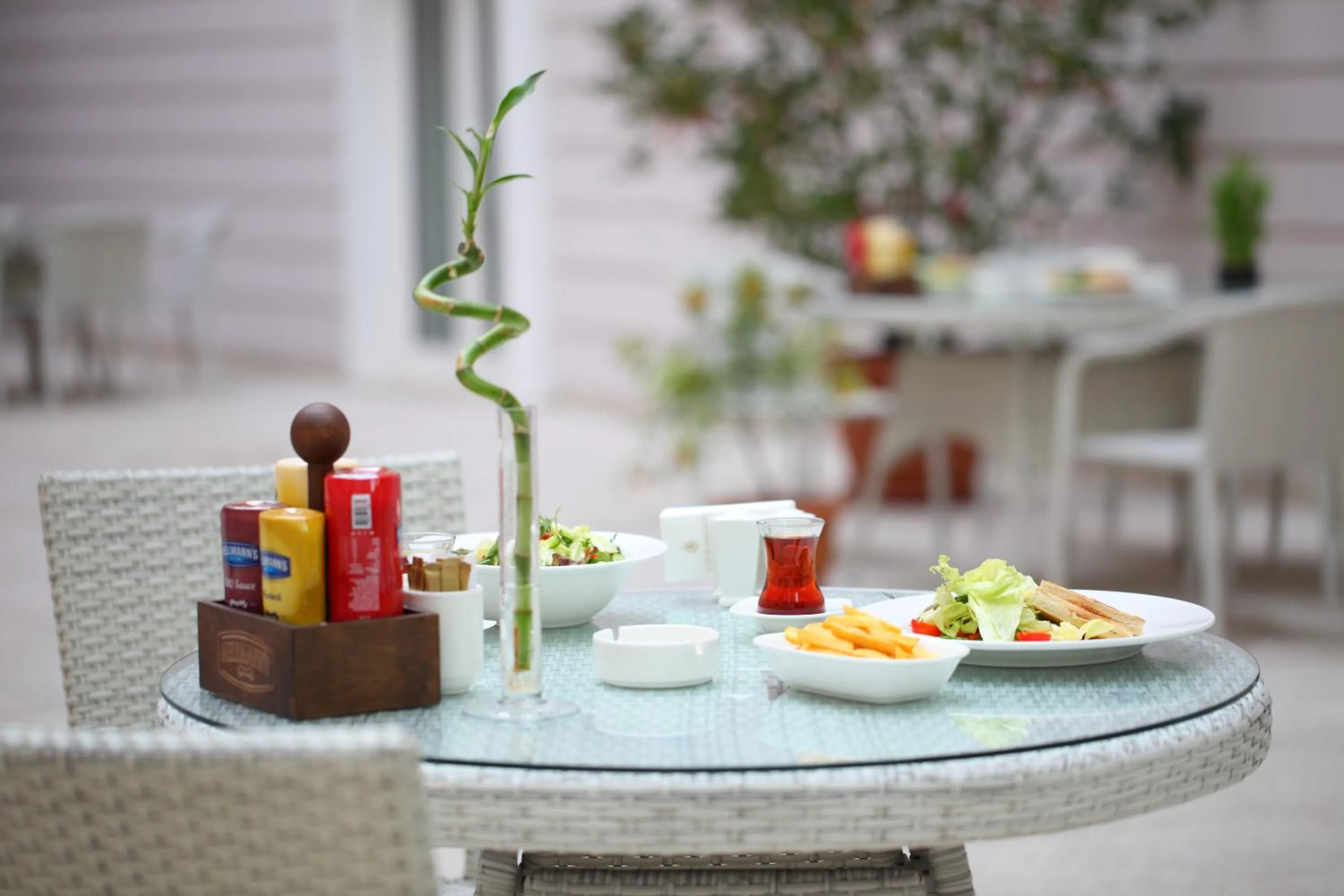 Garden in Luxor Garden Hotel