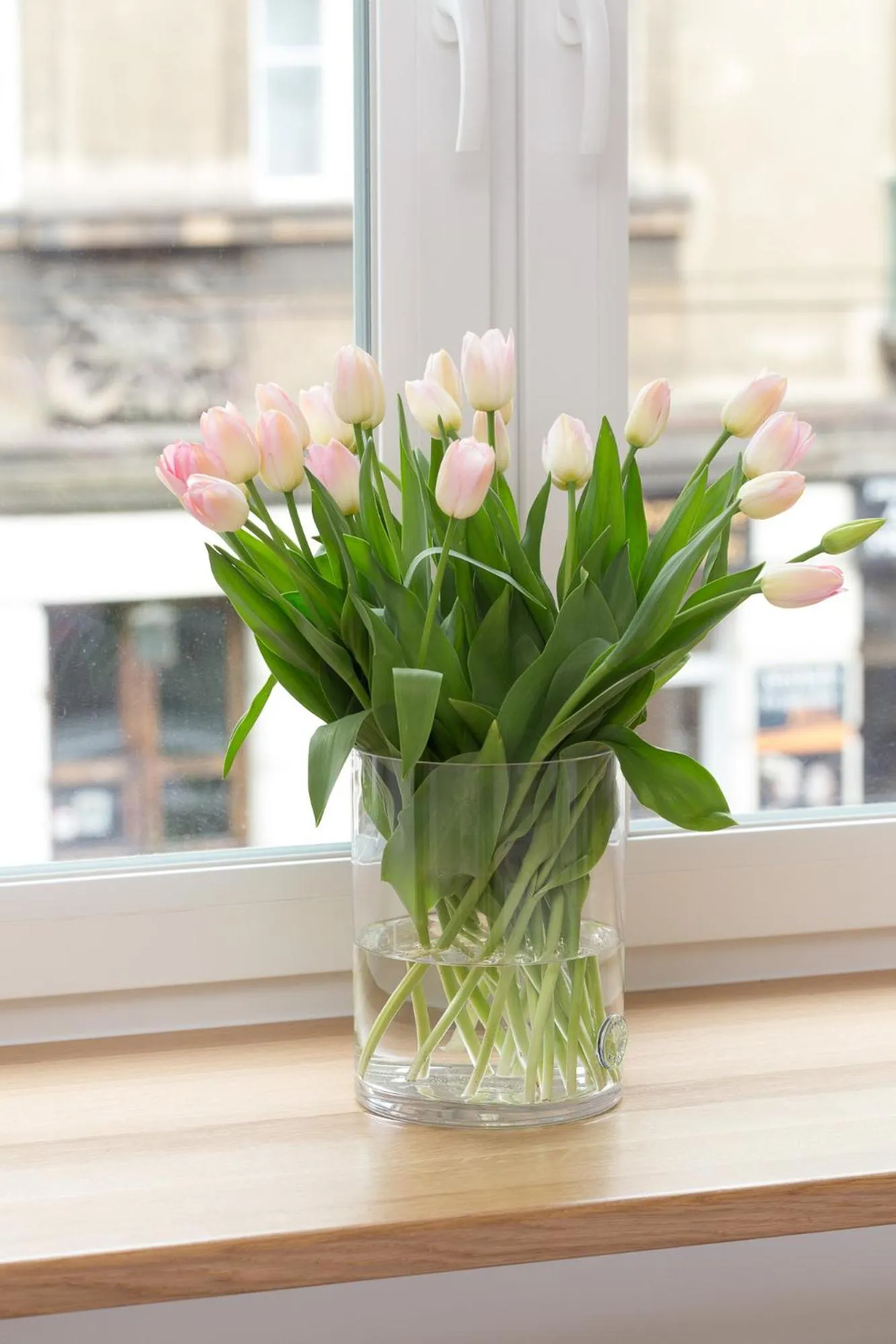 Decorative detail in AVANTI Home