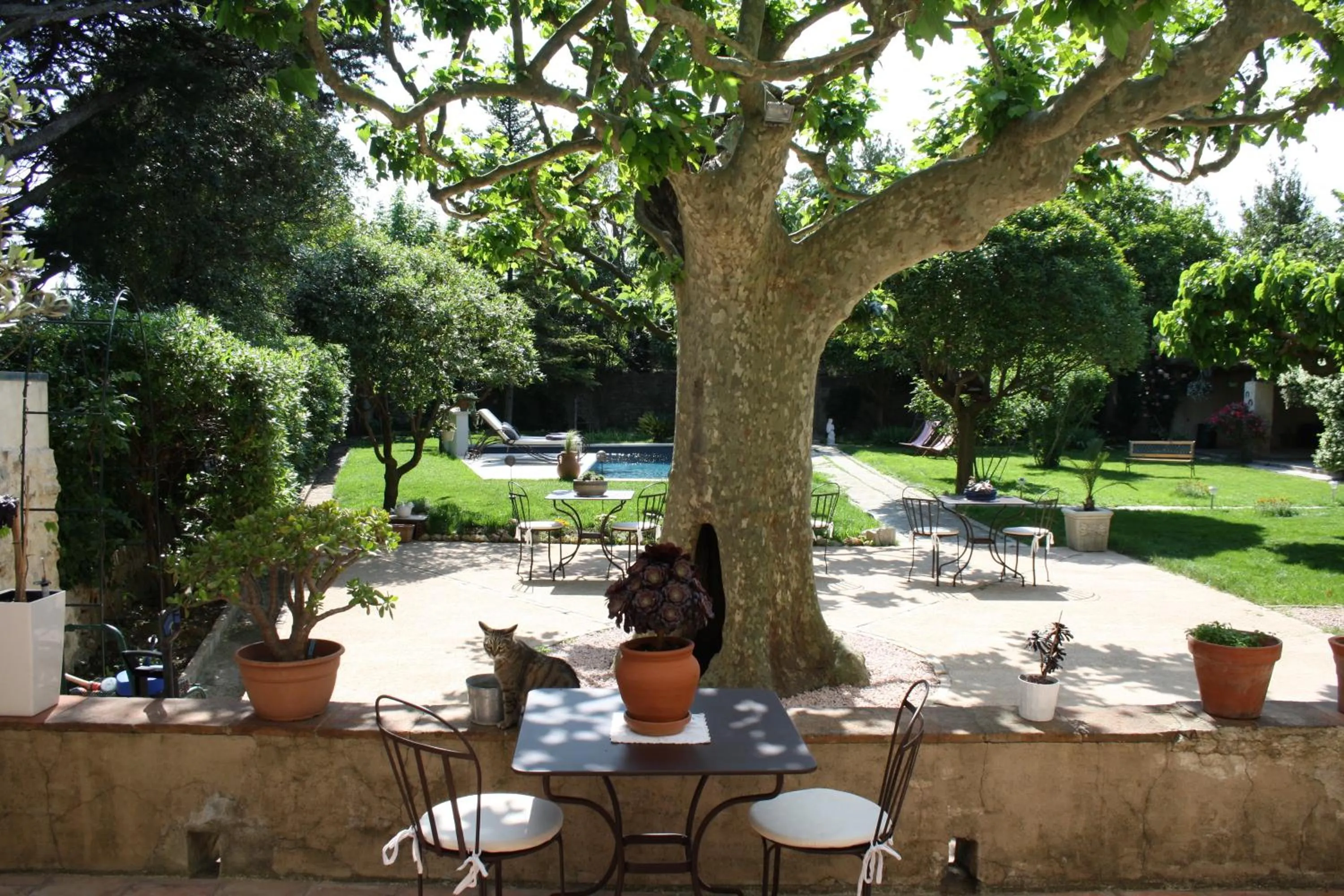 Garden in L'Abri du Poète