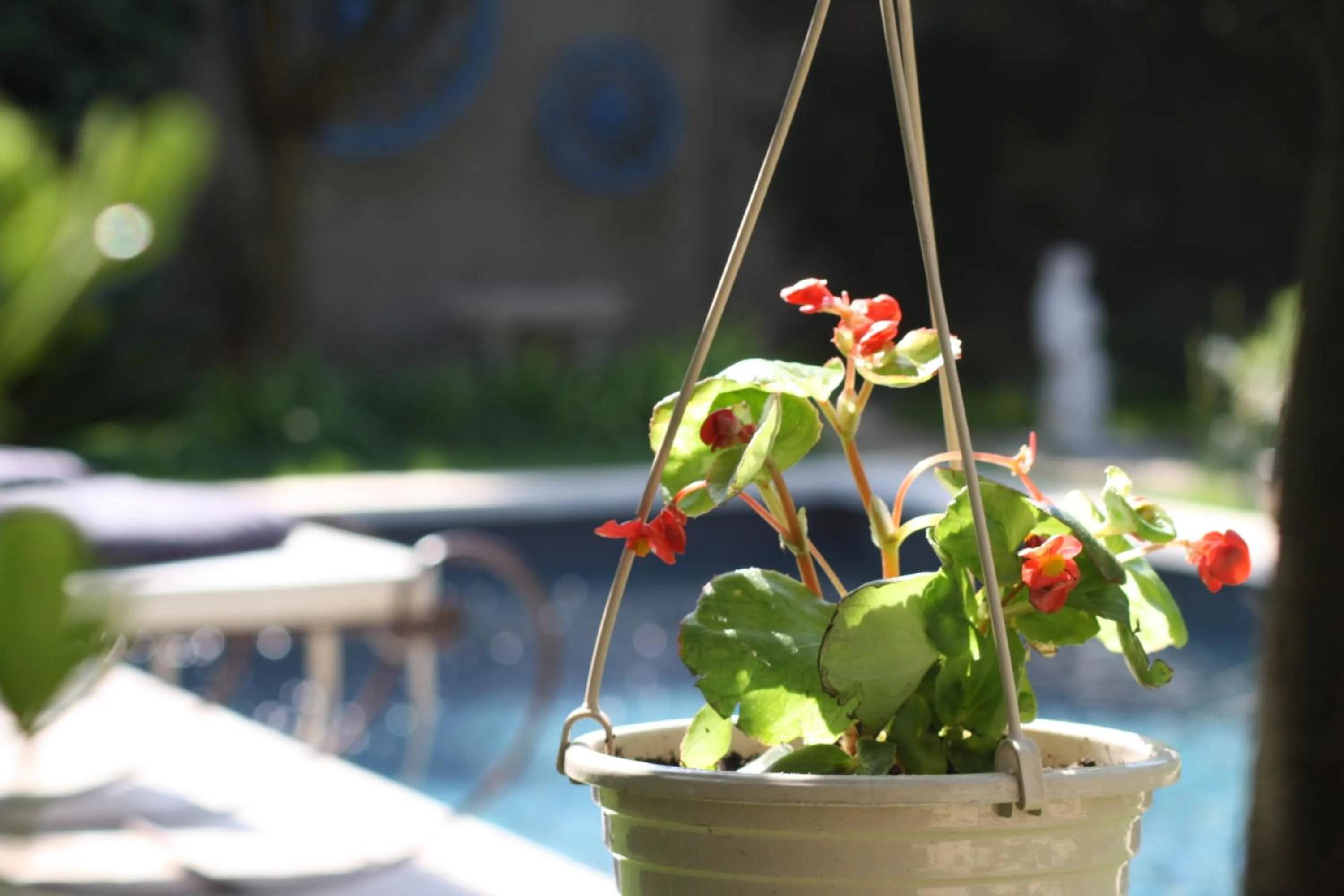Swimming pool in L'Abri du Poète