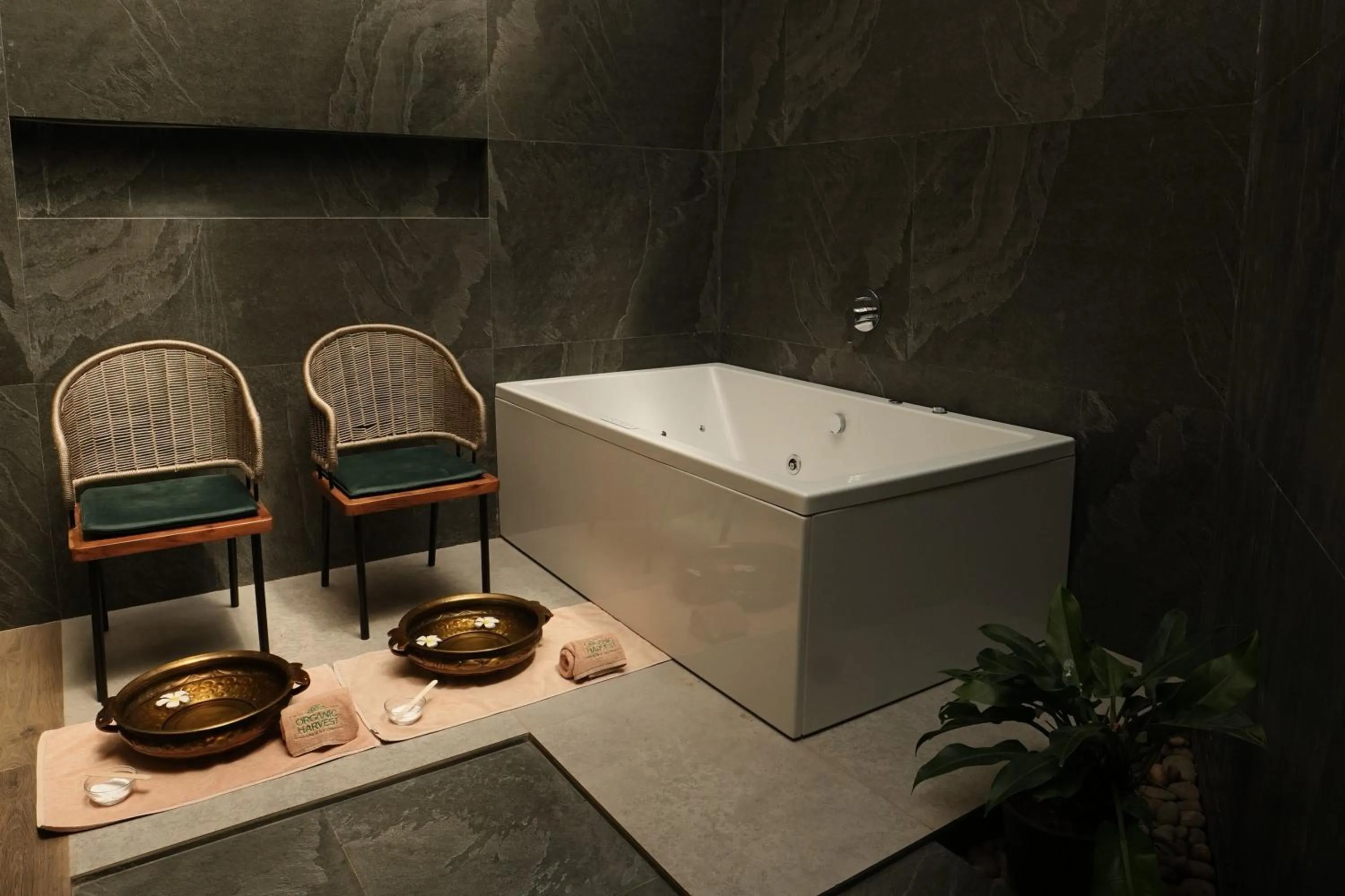 Energise Soul Retreat By ELIVAAS, Trimbakeshwar Nashik