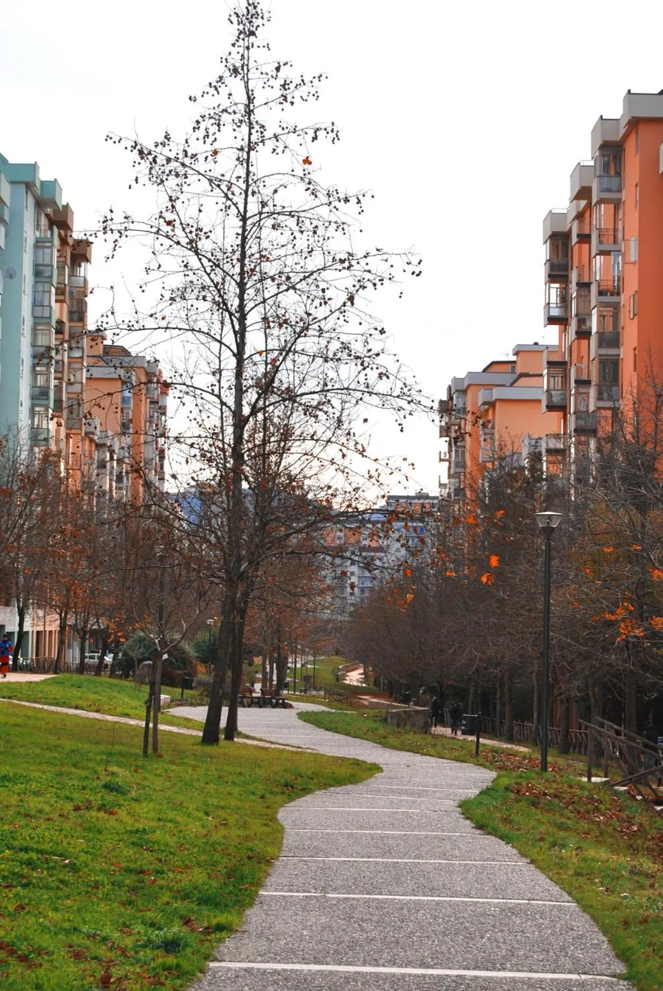 View (from property/room) in B&B Arcobaleno