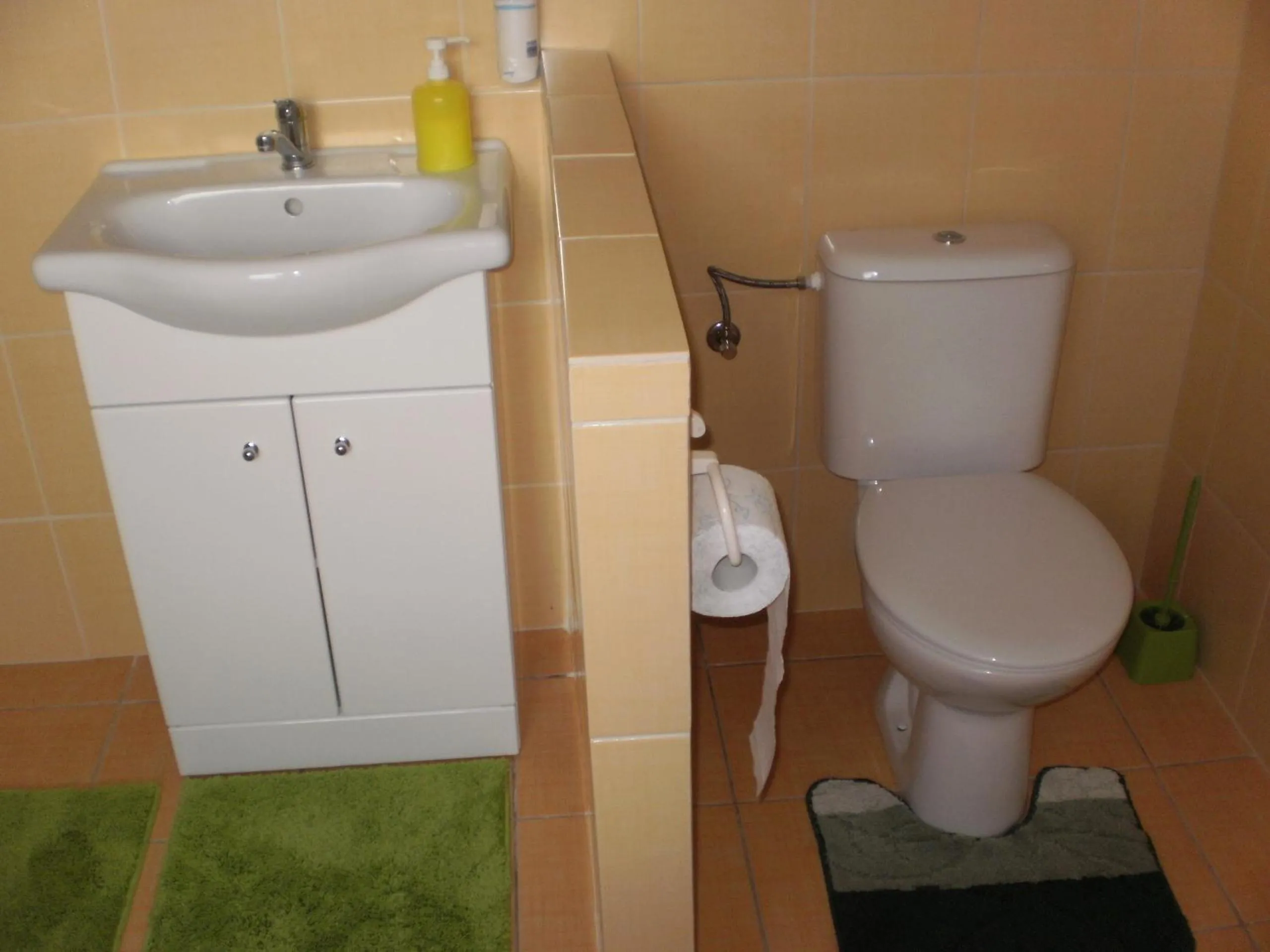 Toilet in Privat Buk 100