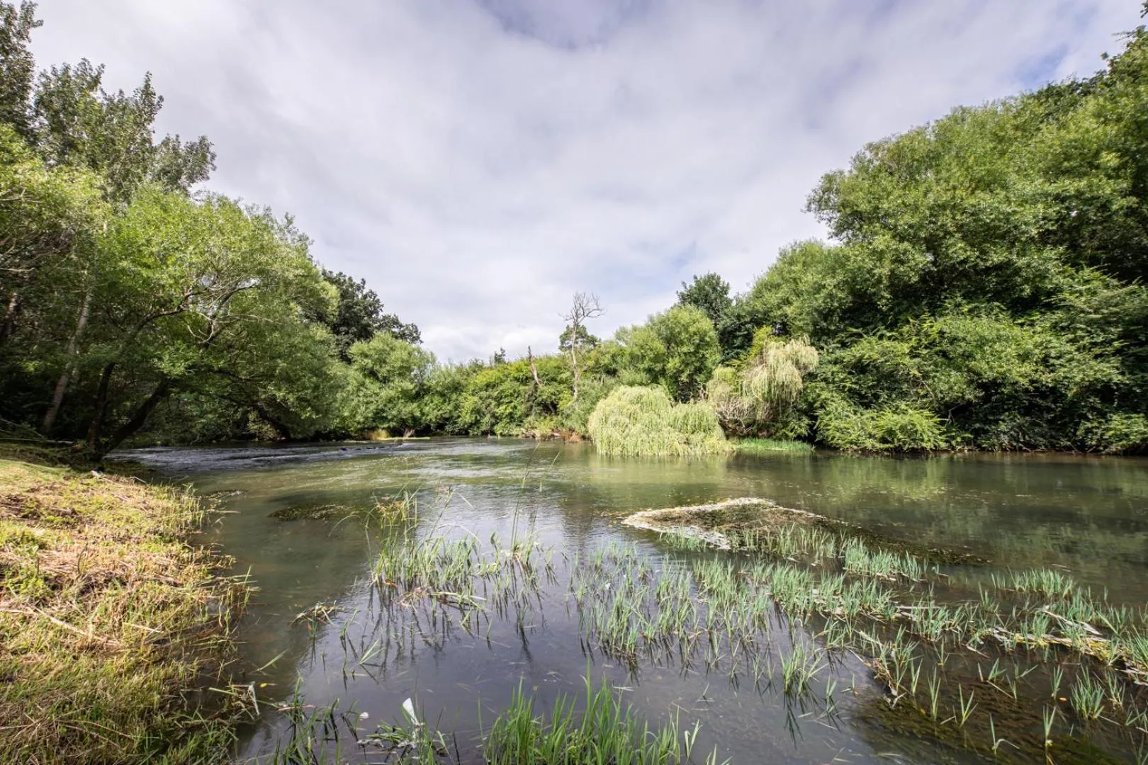 Natural landscape in Waterford Manor