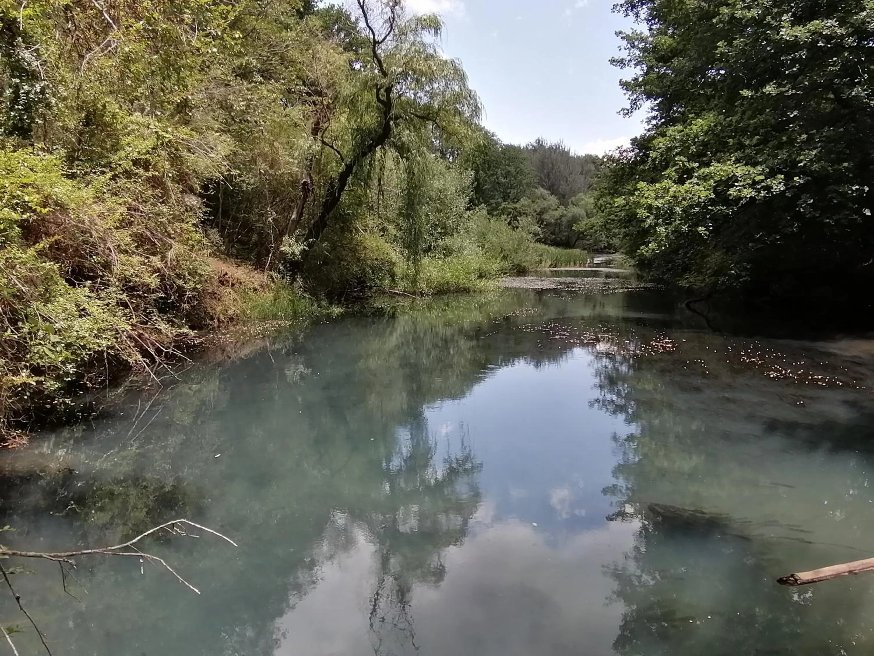 Natural landscape in Waterford Manor