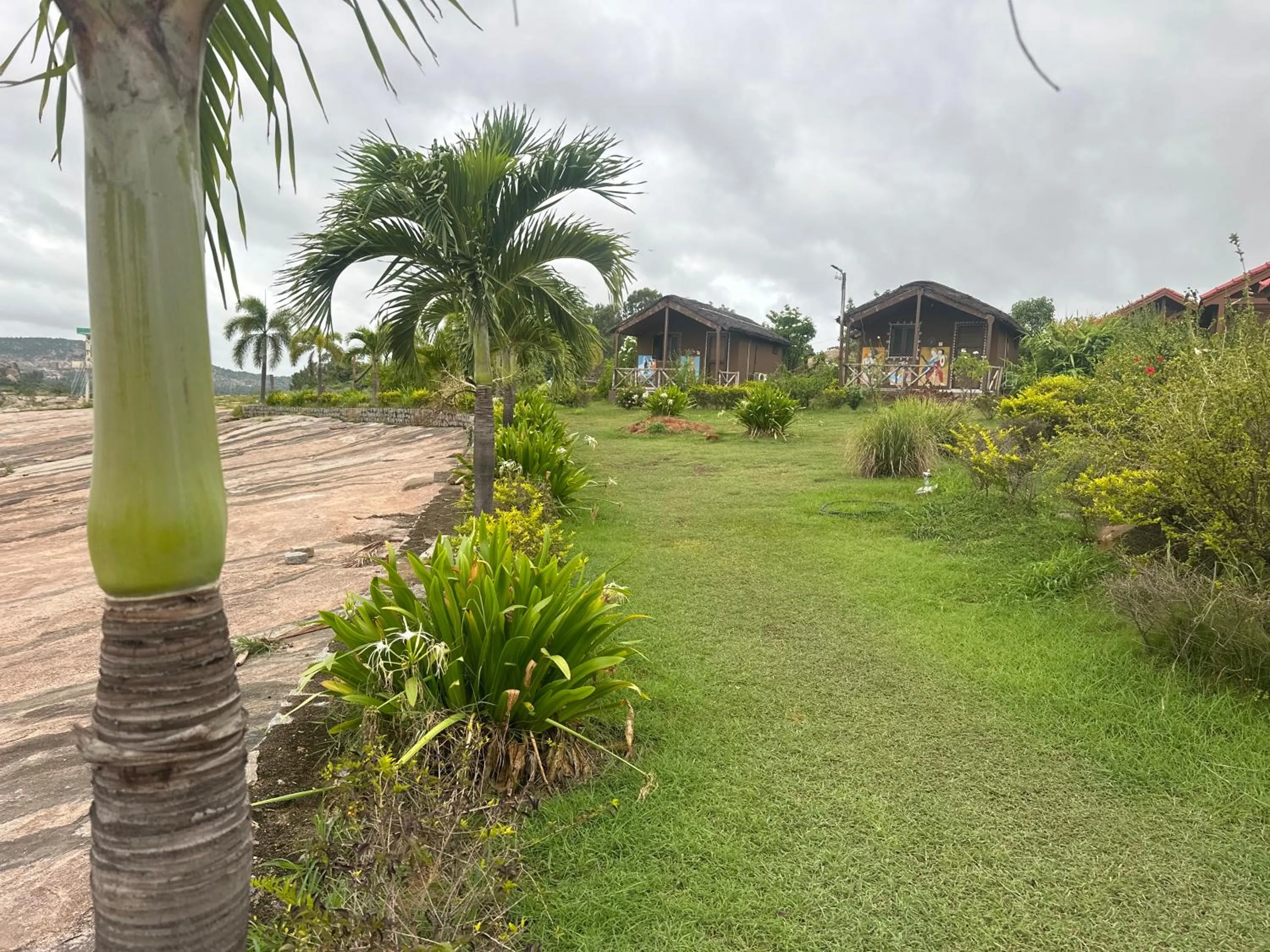 Leo wooden resorts