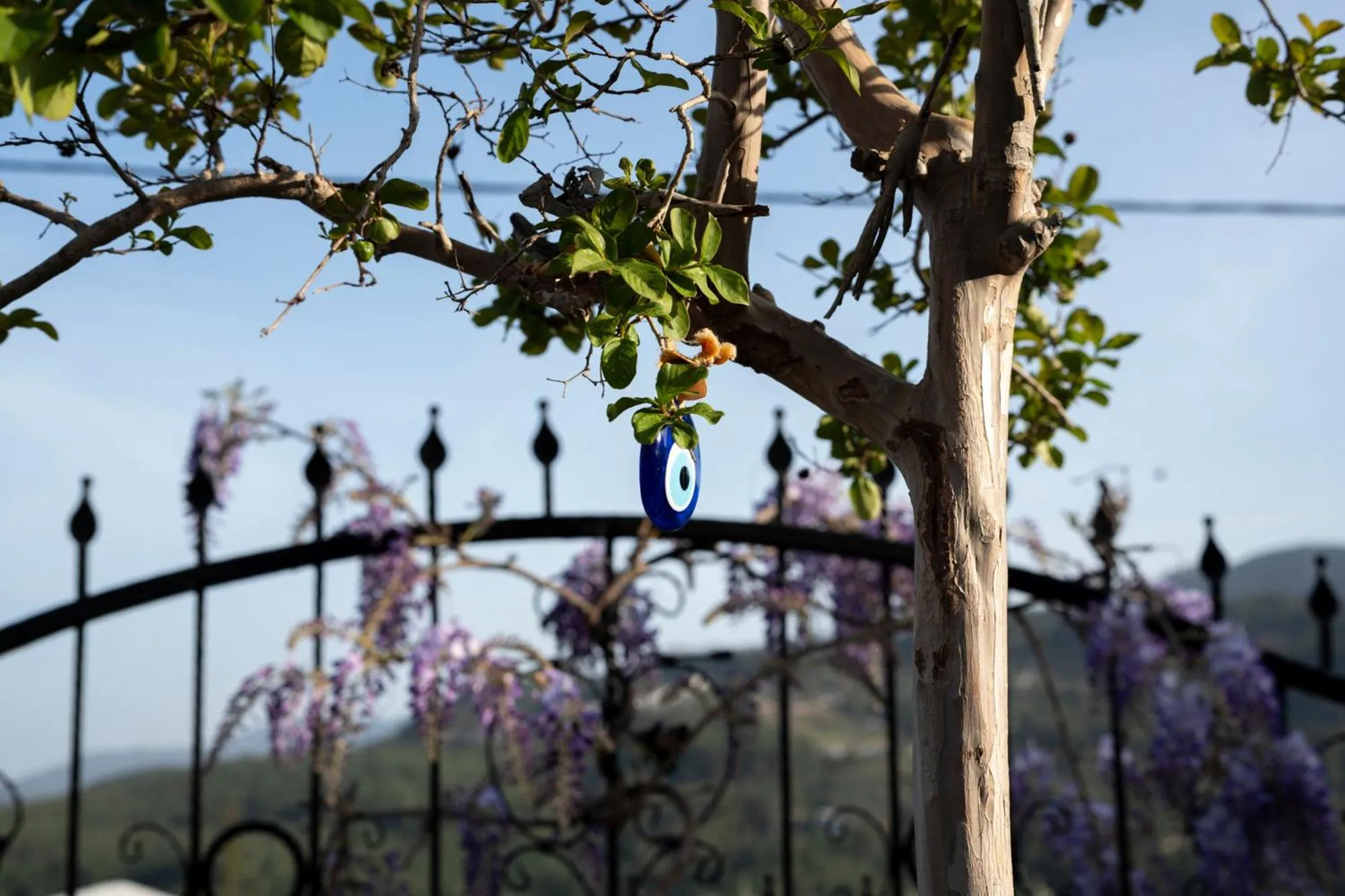 Natural landscape in La Veranda Villas
