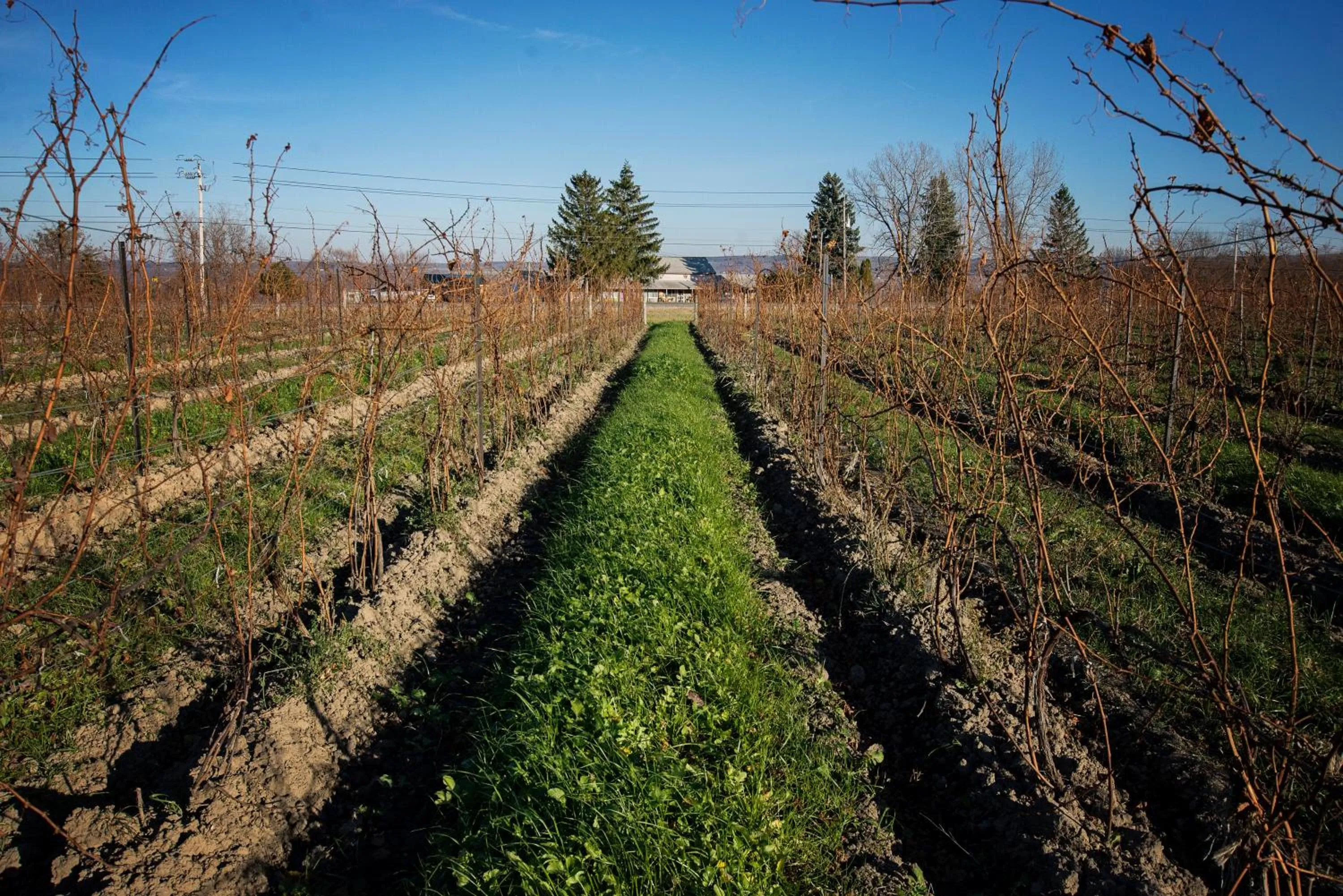 Natural landscape in Savannah House Wine Country Inn & Cottages