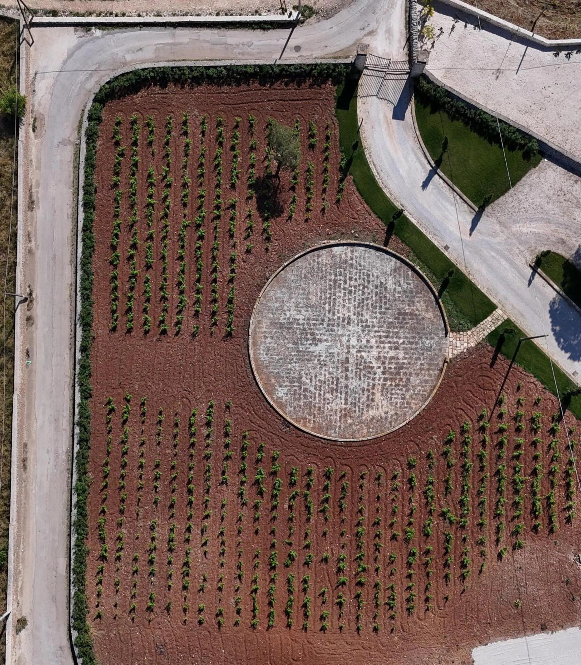 Bird's eye view in Masseria Valentina
