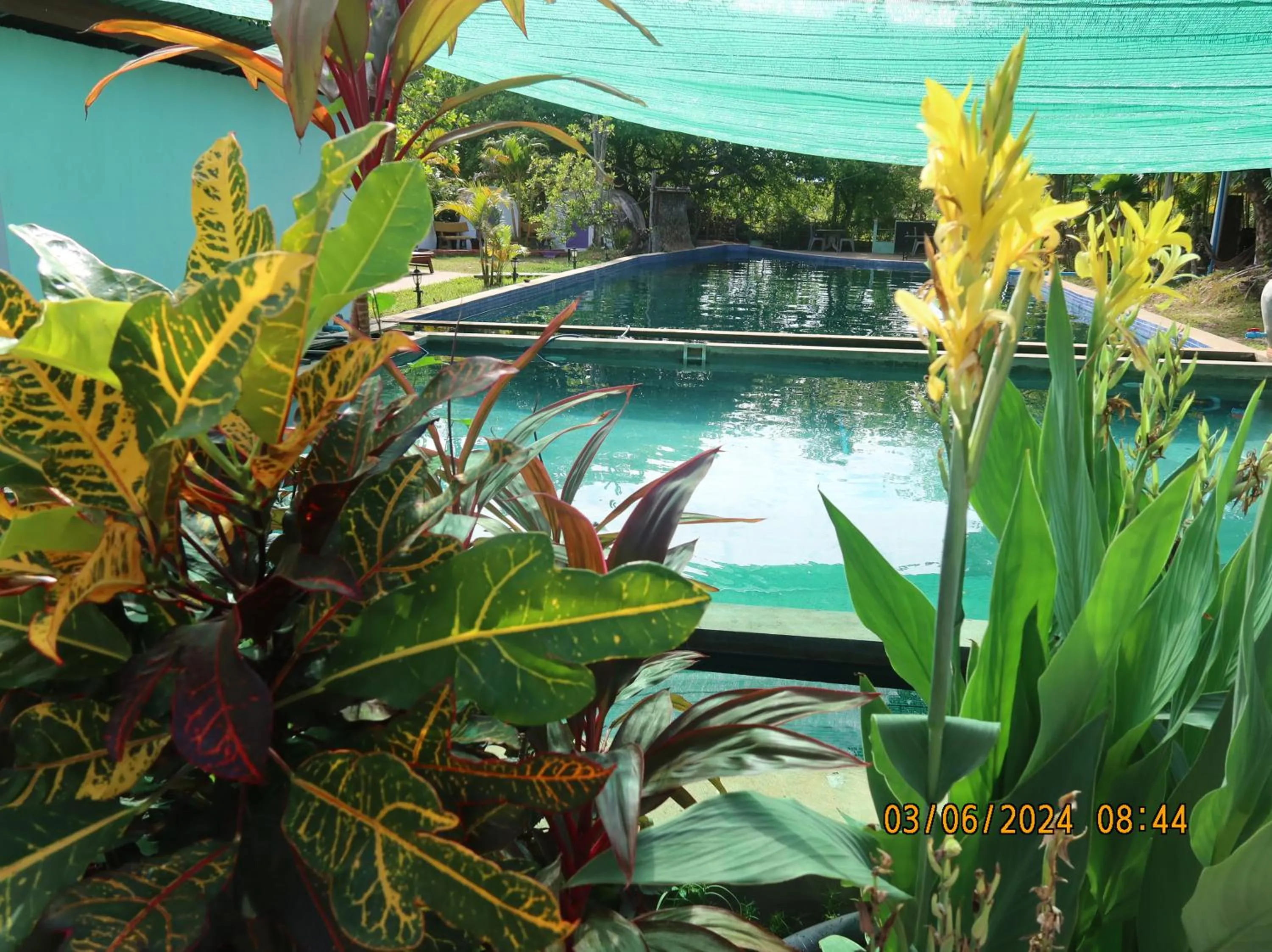 Garden view in Bohemiaz Resort and Spa Kampot