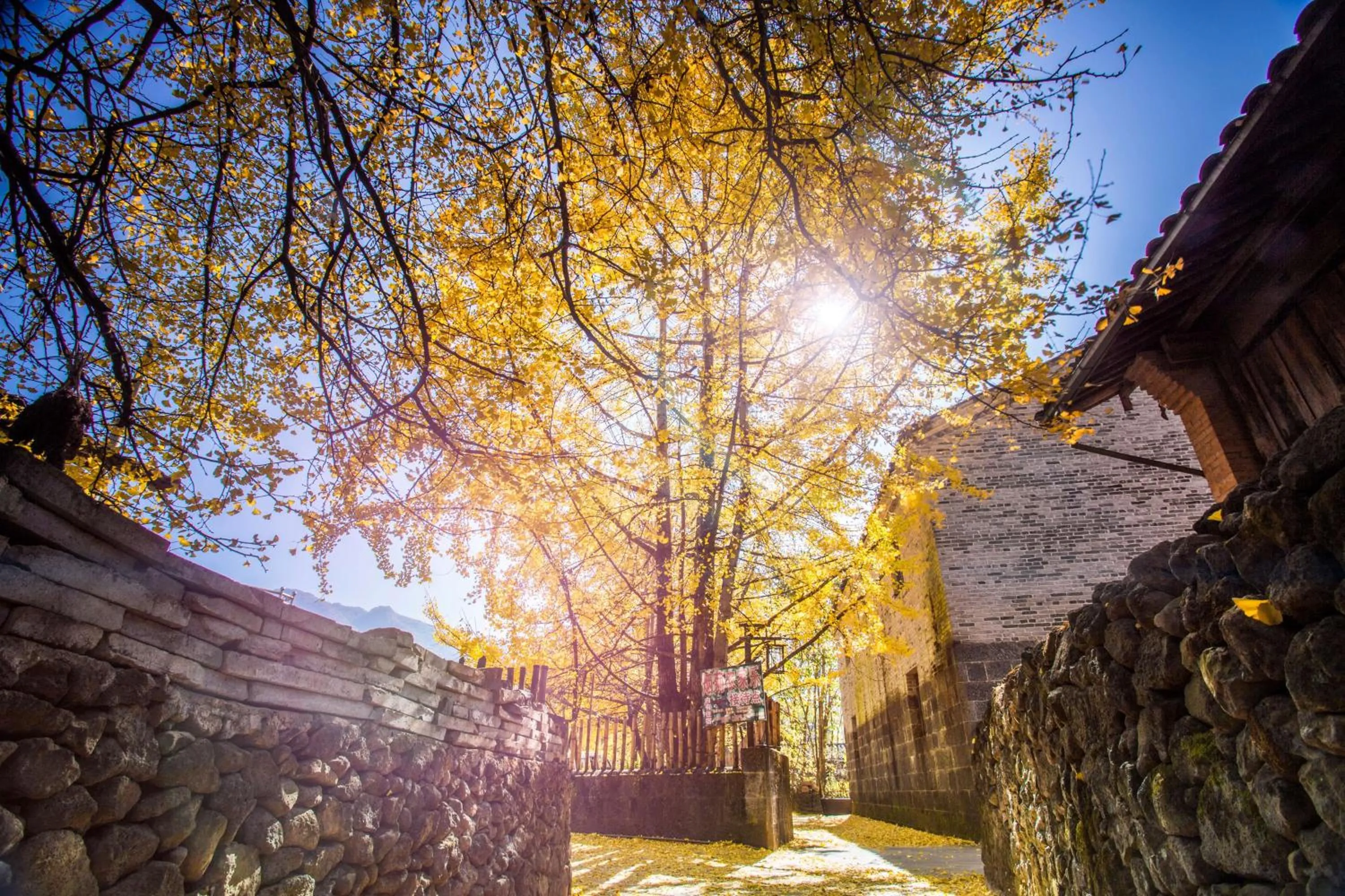 Property building in Banyan Tree Tengchong